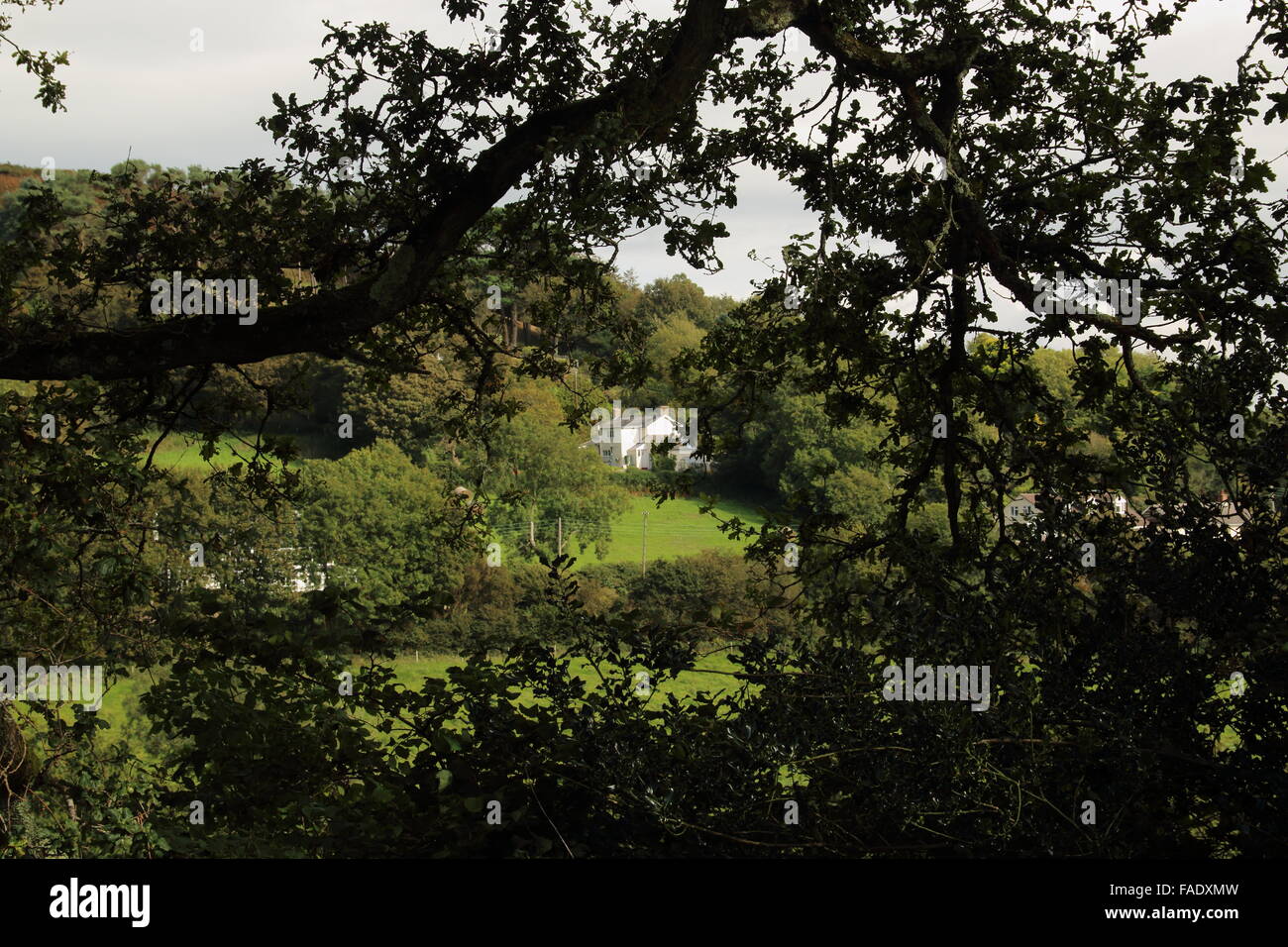 Vista di abitazione domestica attraverso gli alberi,Dorset Foto Stock