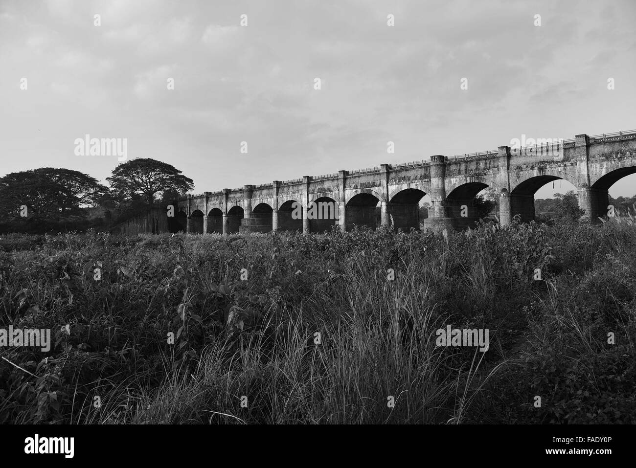 Ponte e fiume.Un piccolo posto in palakkad,Kerala. Foto Stock