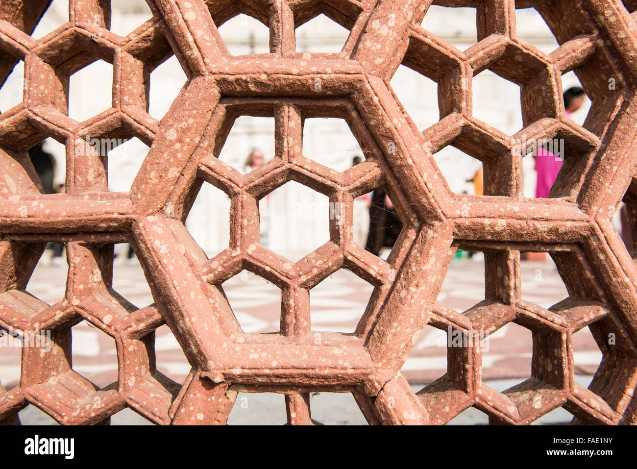 Illustrazione di Darwaza-i-rauza Foto Stock