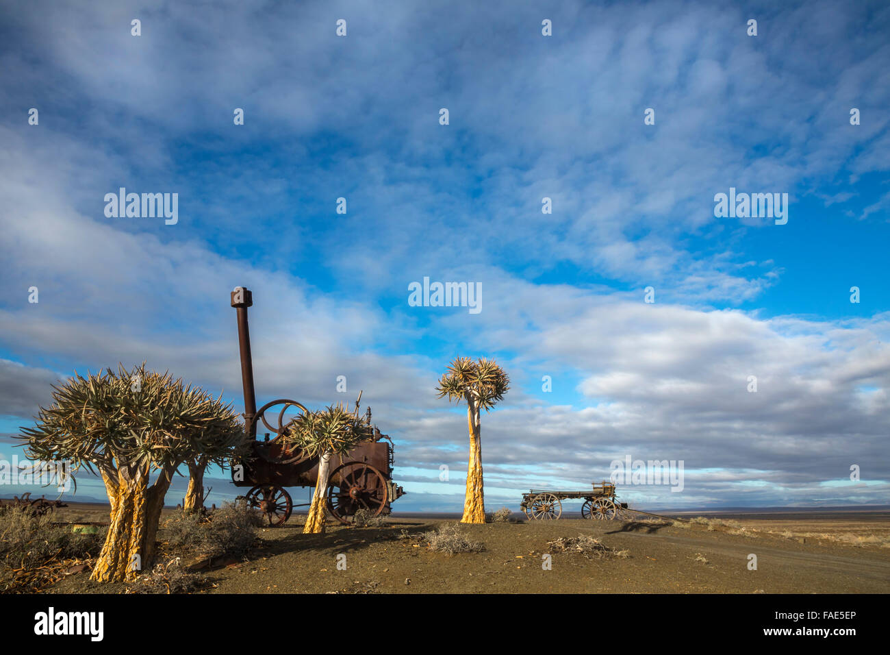 Tankwa Karoo national park, rusty motore a vapore e carro di buoi, Western Cape, Sud Africa Foto Stock