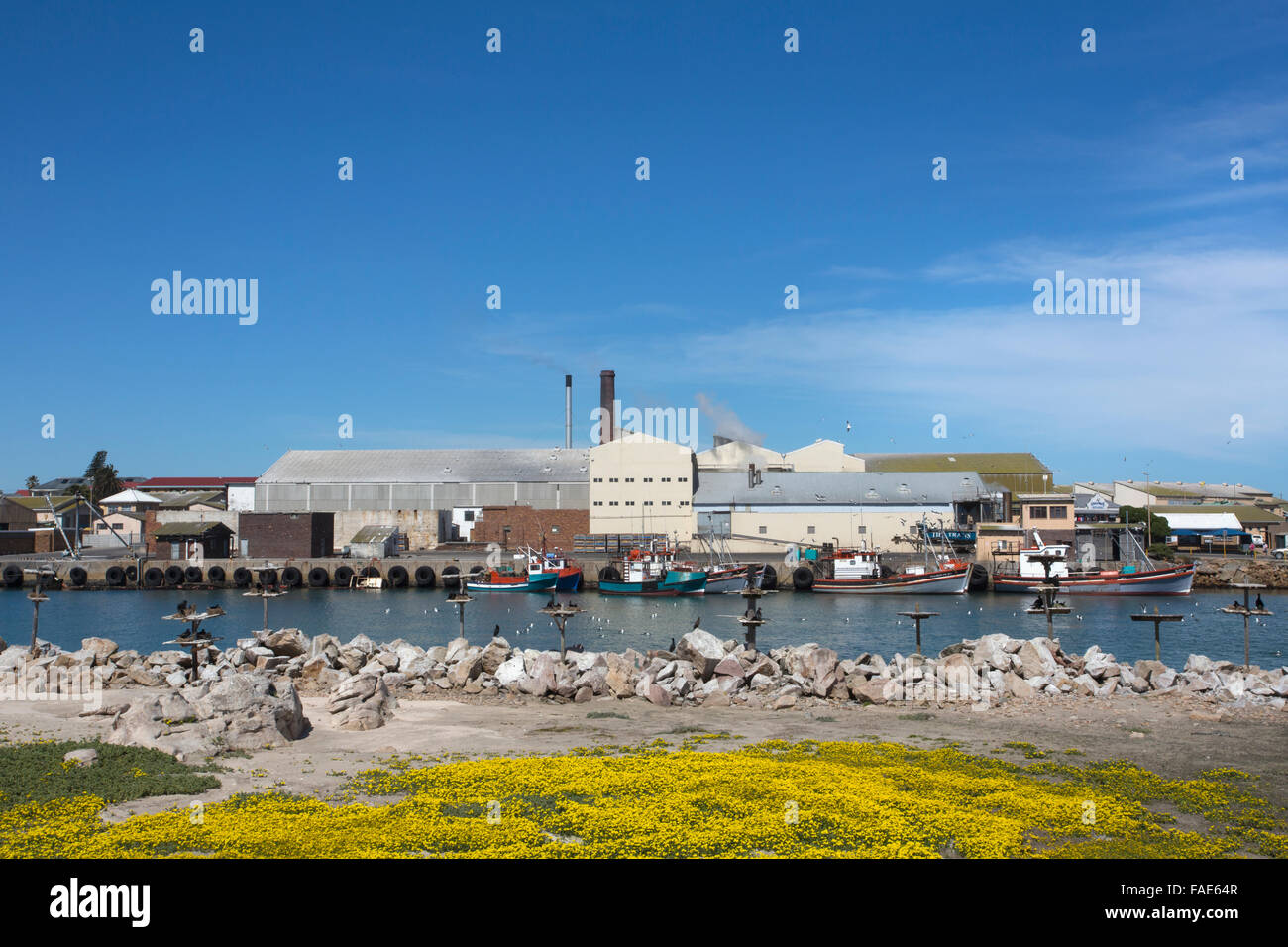 Bird Island che mostra la nidificazione degli uccelli marini piattaforme e vista della città, Lambert's Bay, Western Cape, Sud Africa Foto Stock
