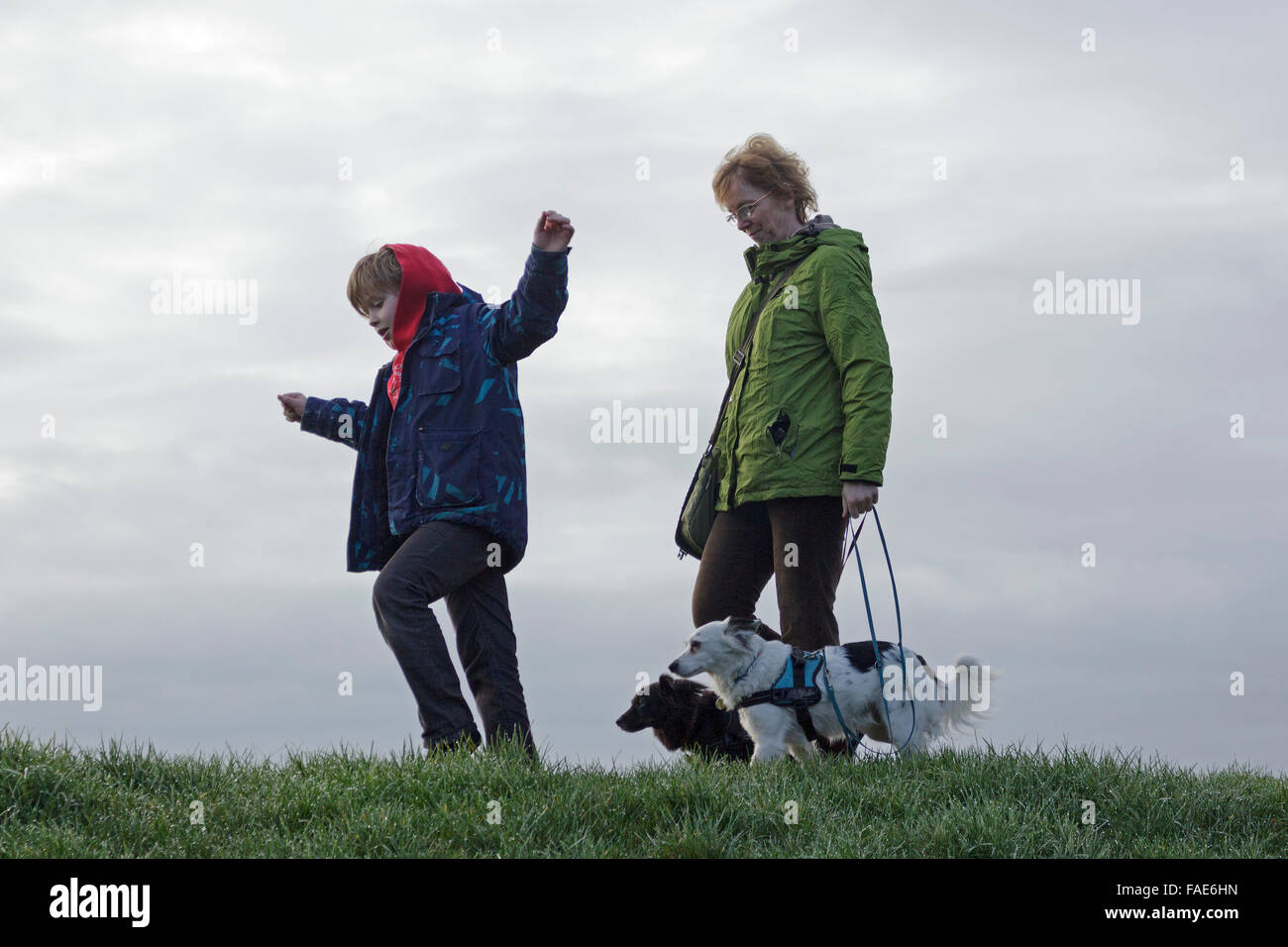 La madre e il figlio a piedi i loro cani Foto Stock