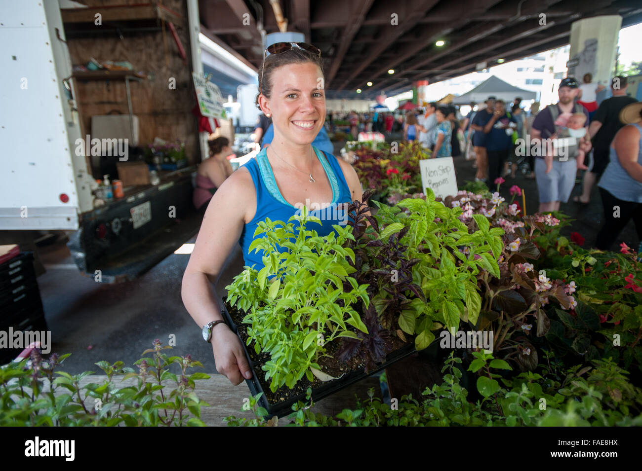 Donna piante di vendita presso il locale mercato degli agricoltori Foto Stock