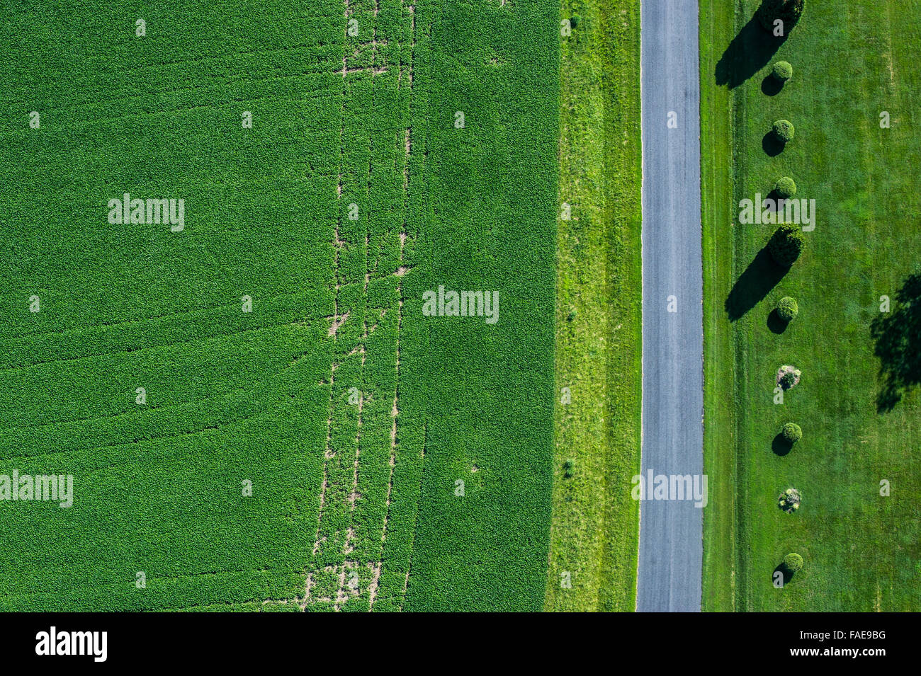 Vista aerea di una strada su terreni agricoli Maryland Foto Stock