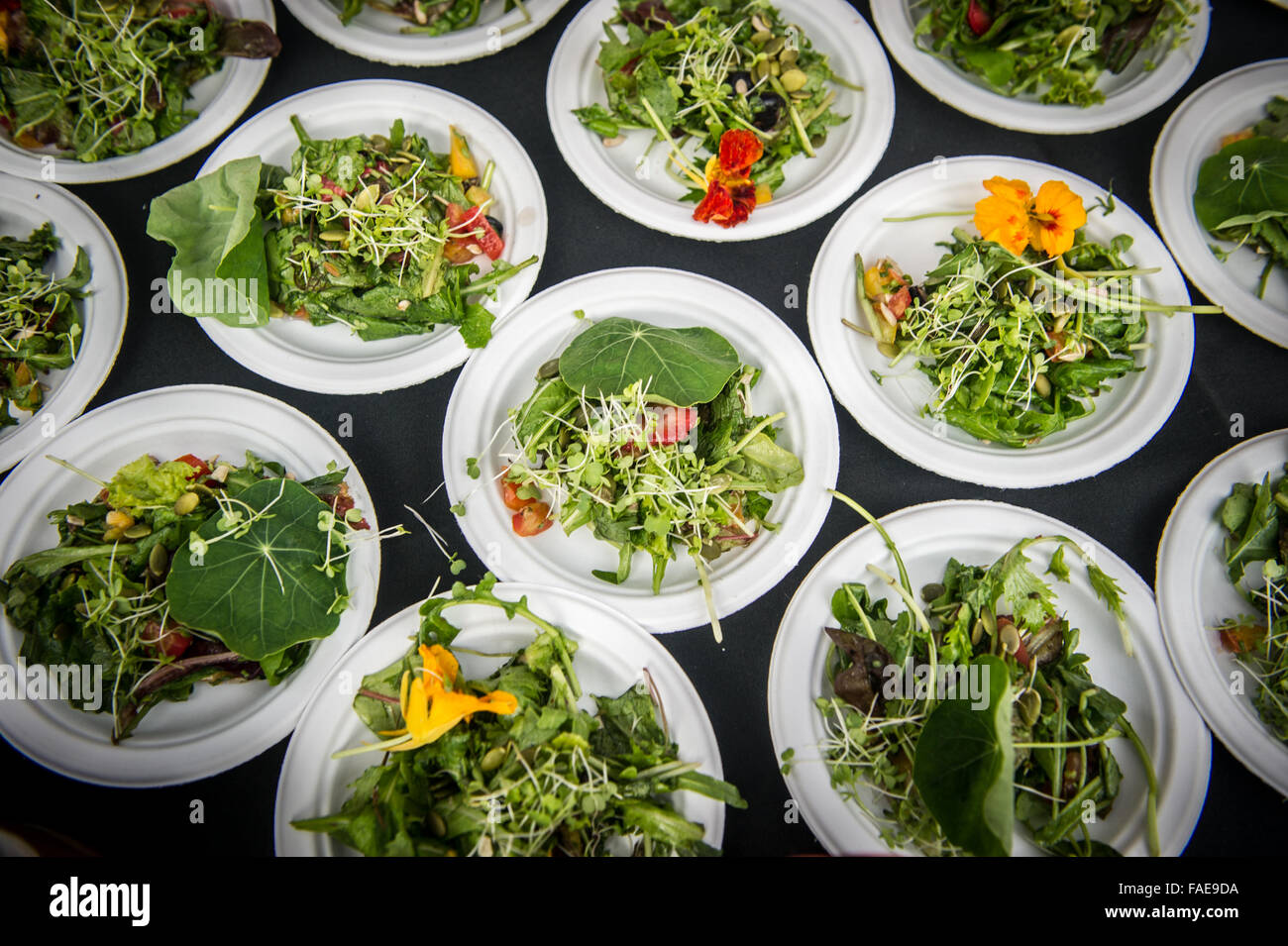 Insalate placcate in piastre di carta Foto Stock