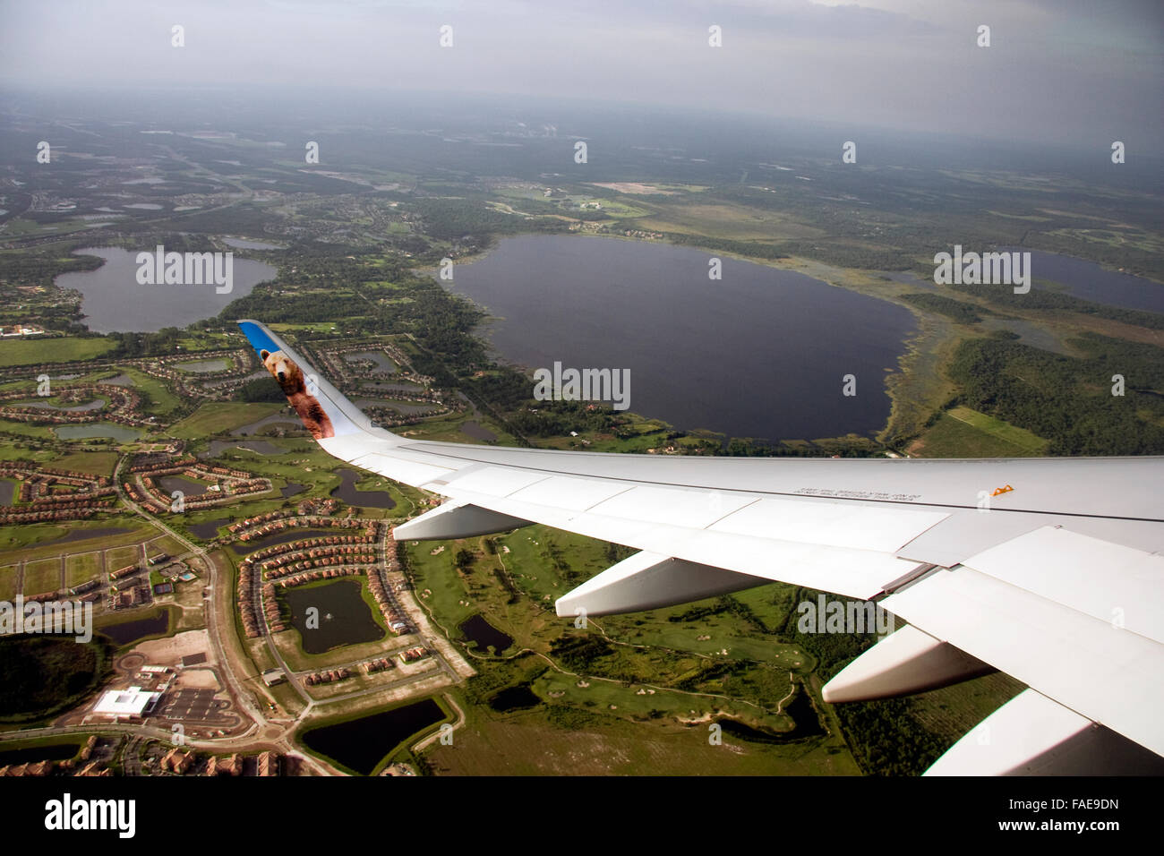 Bird vista dall'aereo finestra al di sopra della Florida Foto Stock