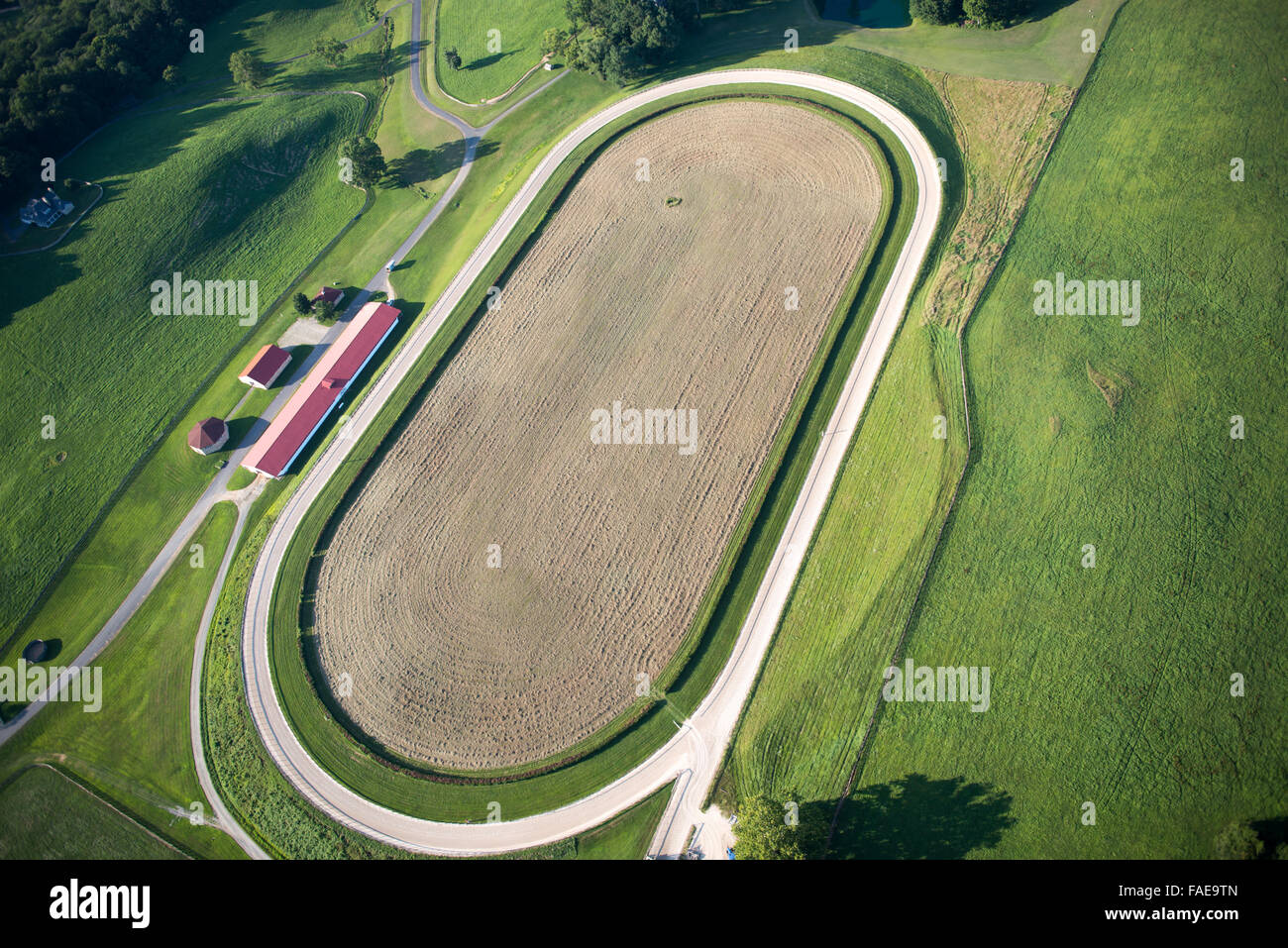 Vista aerea di un cavallo competitivo via Foto Stock