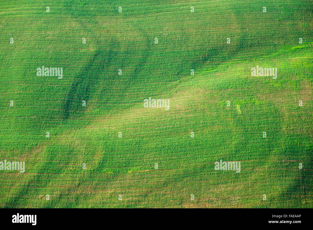 Harford County antenne vista aerea del Maryland Terreni agricoli Foto Stock