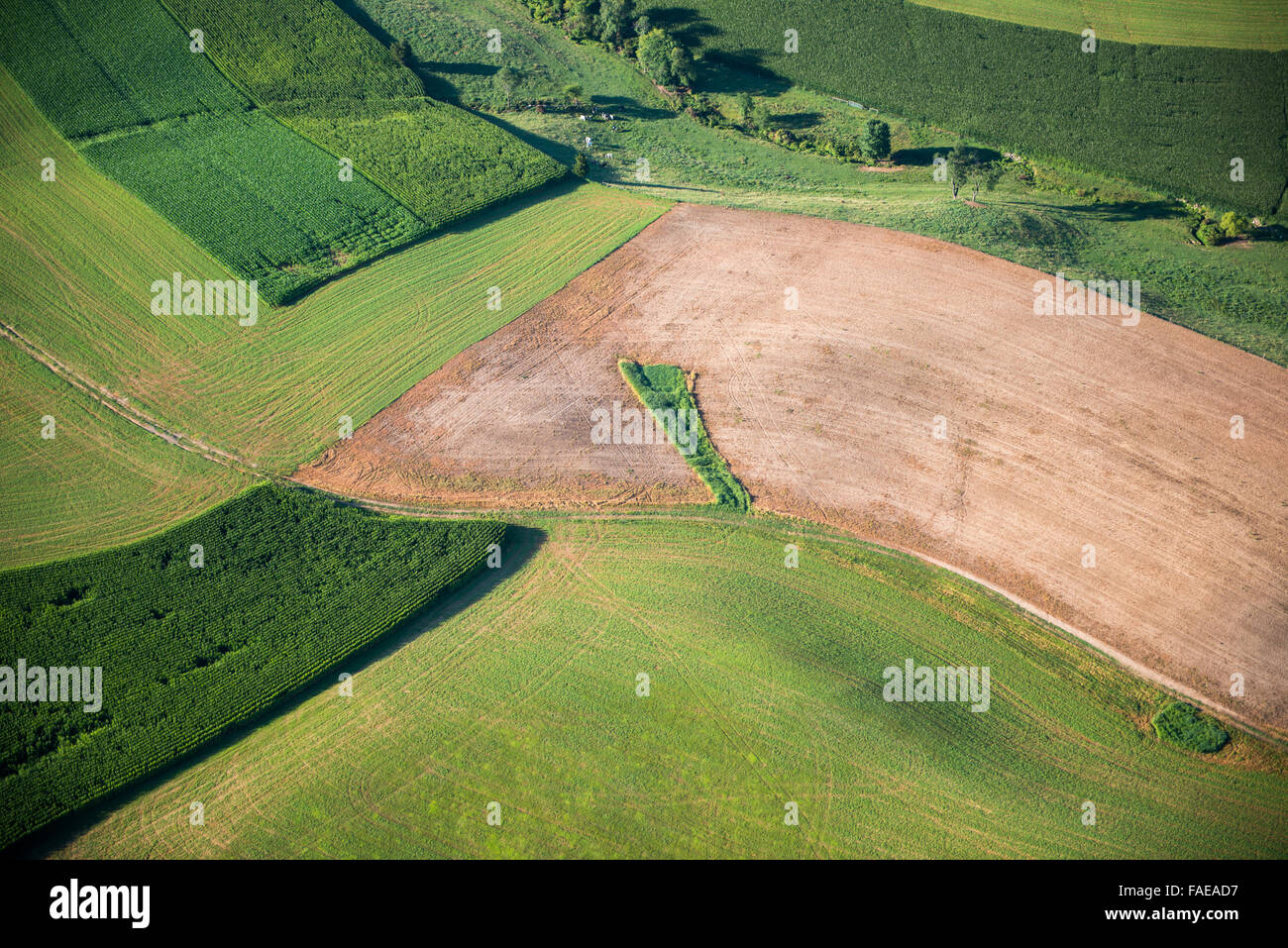 Harford County antenne vista aerea del Maryland Terreni agricoli Foto Stock