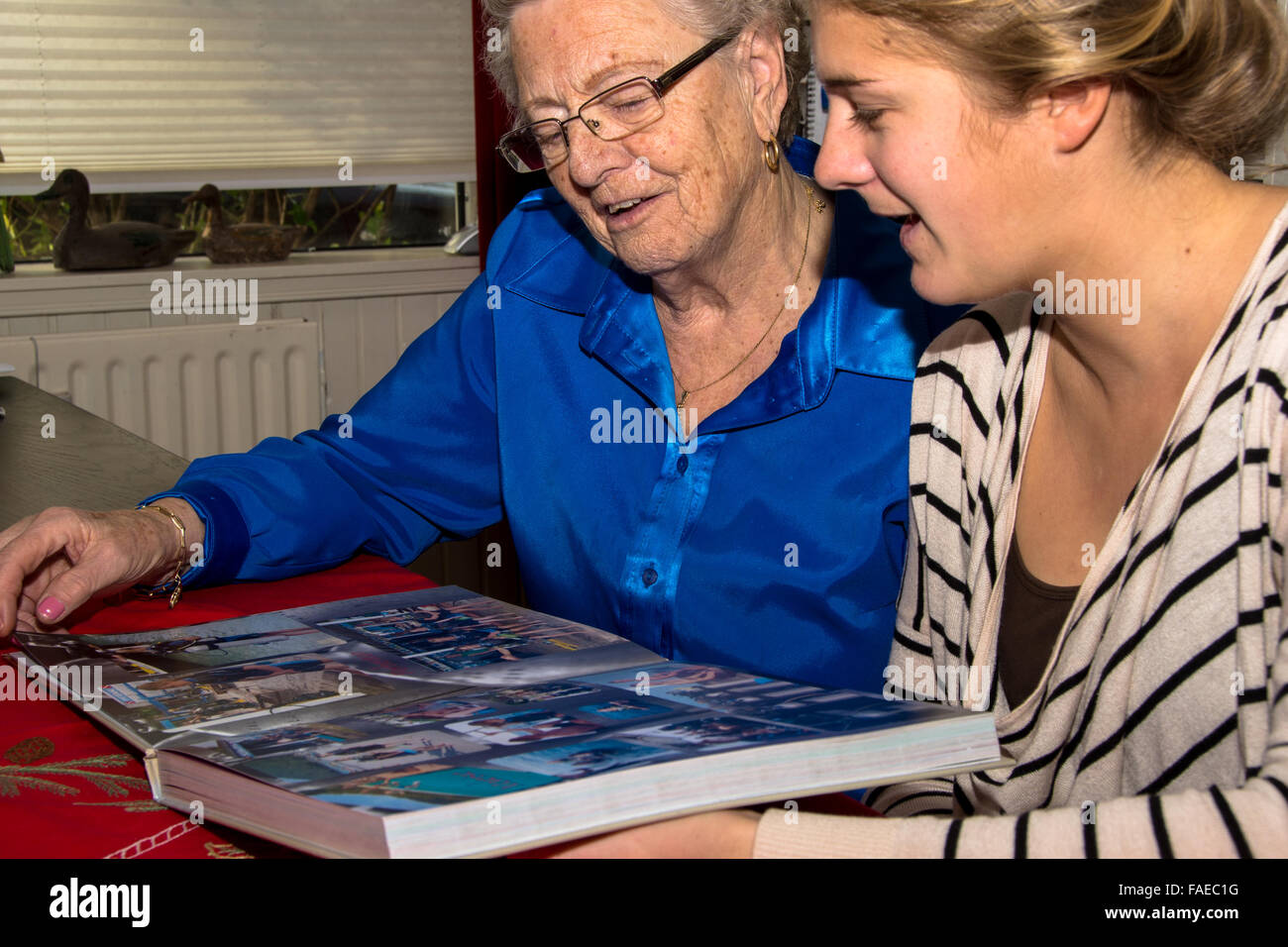 Nonna e nipote guardando album fotografico Foto Stock
