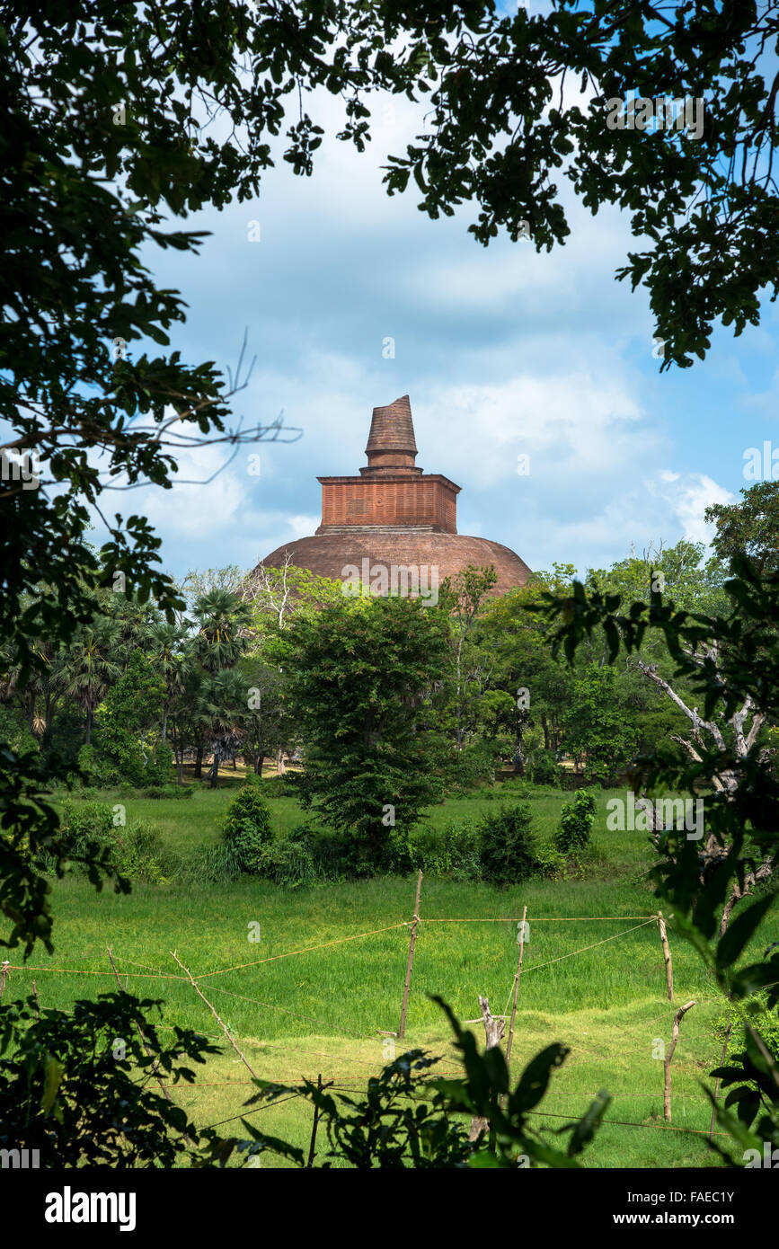 Jethavana stupa in anuradhapura sri lanka Foto Stock