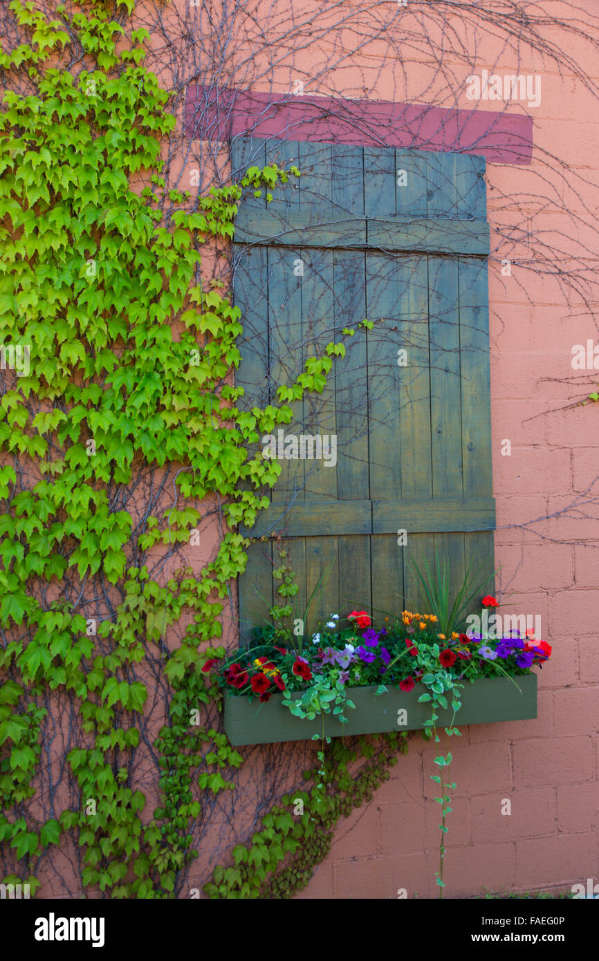 Window box con vitigni di Duluth Minnesota sulla sponda nord occidentale del Lago Superior Foto Stock