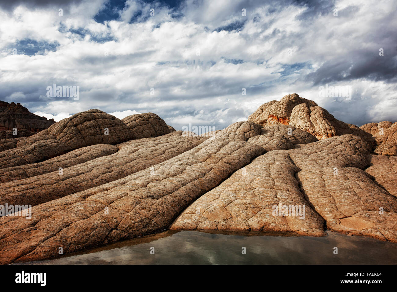 Crossbedding univoco di formazioni di arenaria trovata in Arizona remota della tasca di bianco e vermiglio scogliere monumento nazionale. Foto Stock