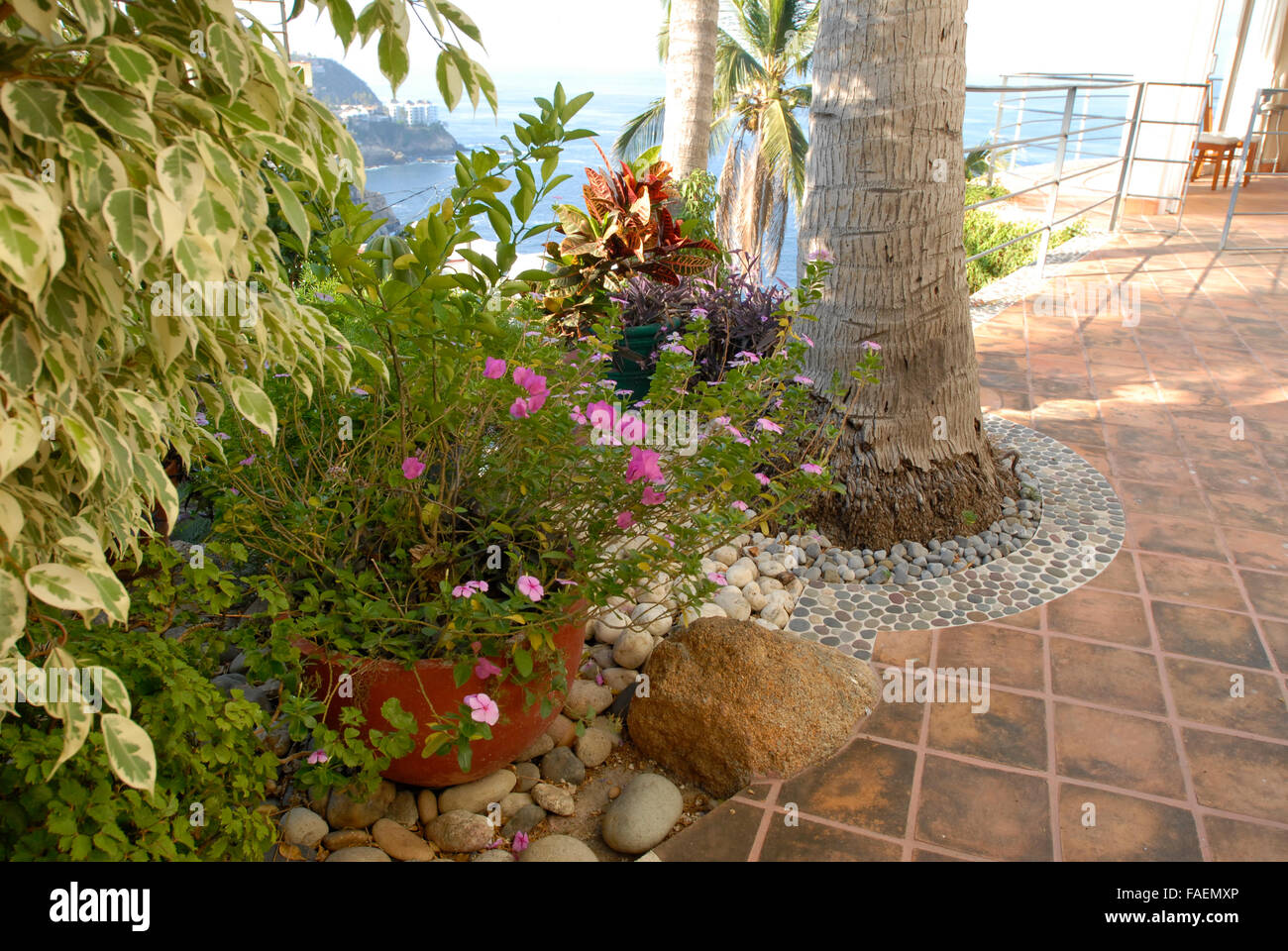 Acapulco, Messico: Tropicale Giardino arido e marciapiede a casa messicana. Foto Stock