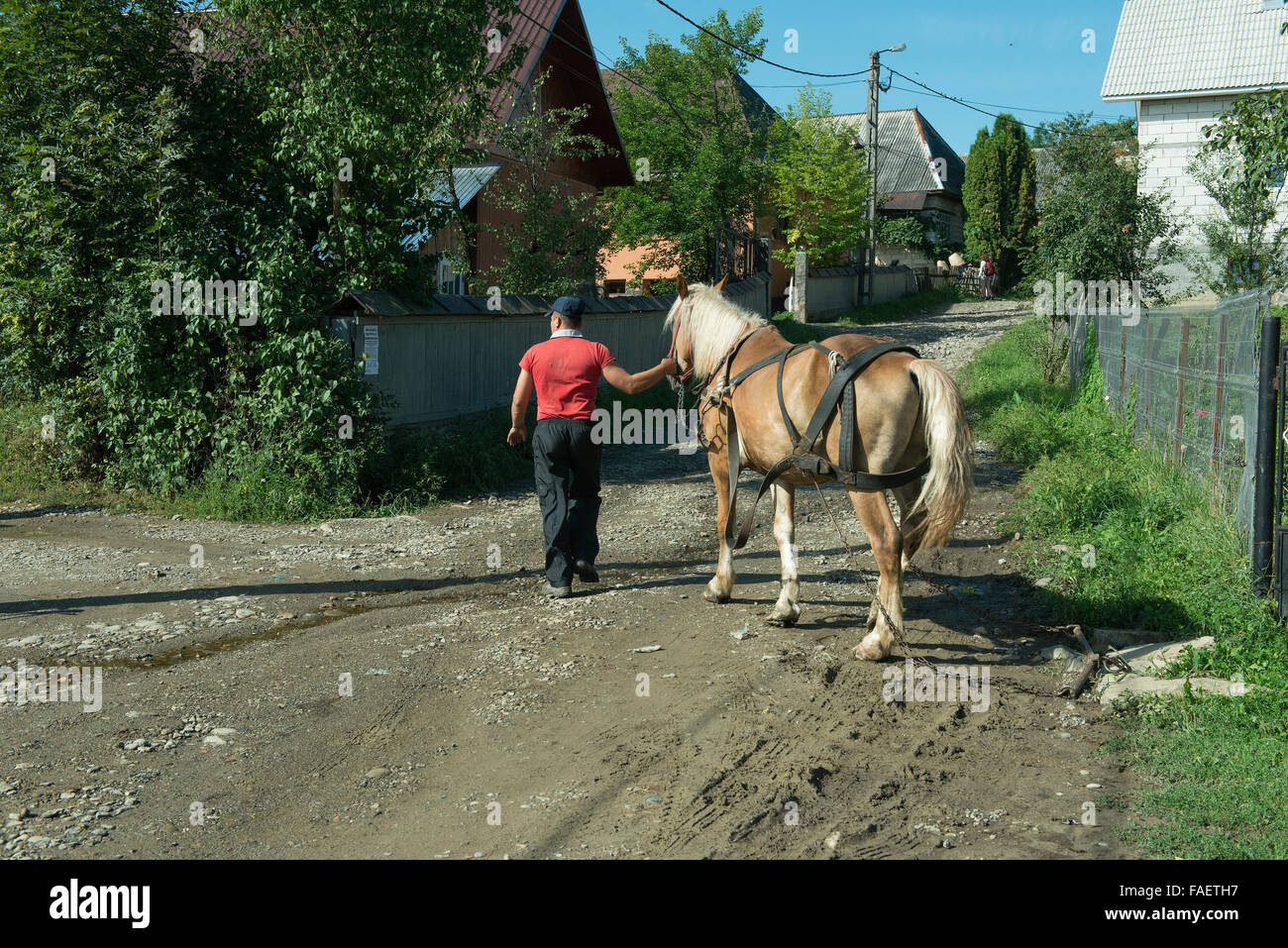 L'uomo con il suo cavallo su una strada rurale in Romania Foto Stock