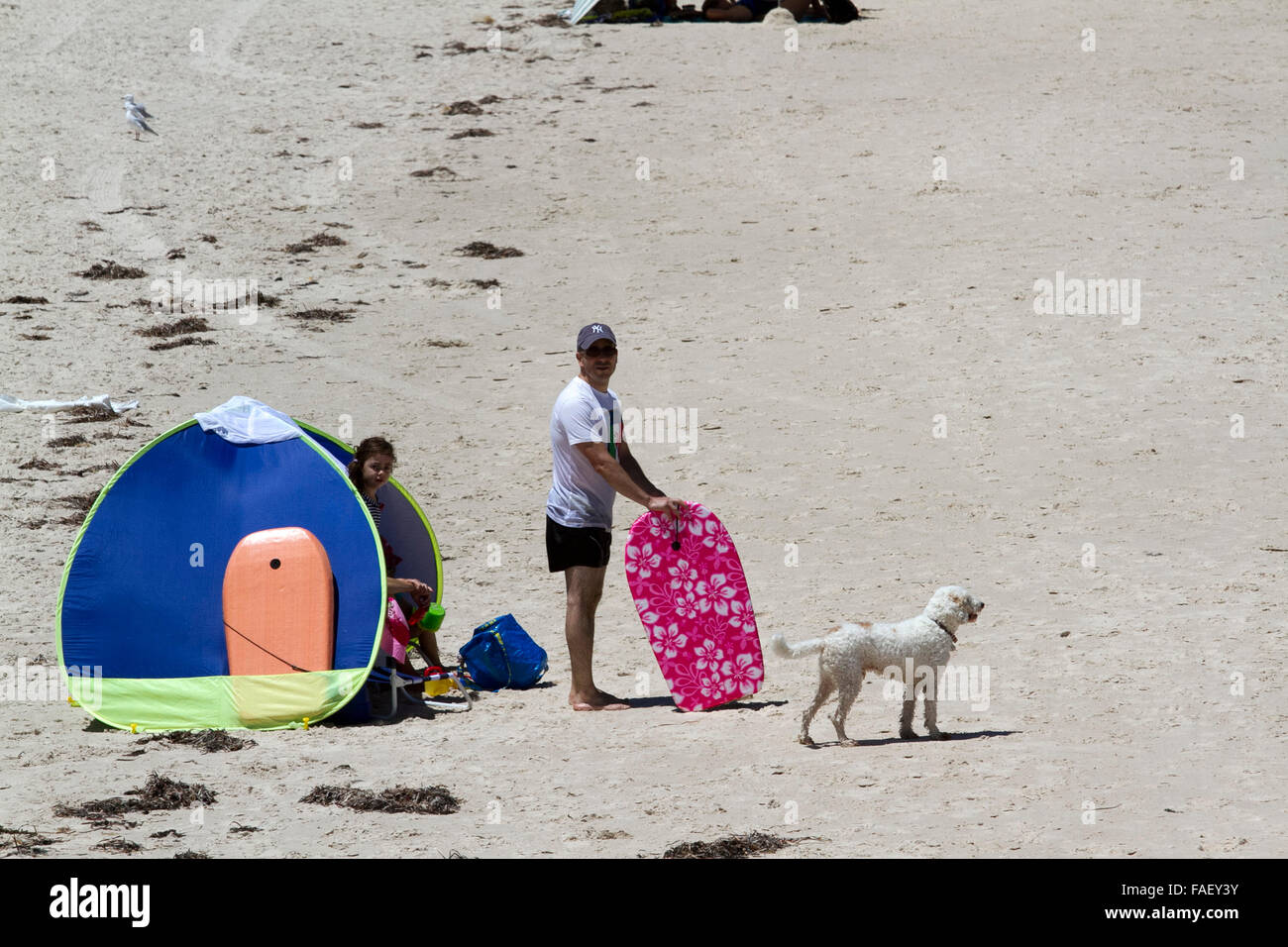 Adelaide Australia. Il 29 dicembre 2015. Persone fuggire dal caldo estivo sulla spiaggia Adleaide come le temperature si elevano a 35 gradi celsius come le temperature sono previsioni per elevarsi al +37 su anno nuovo credito: amer ghazzal/Alamy Live News Foto Stock