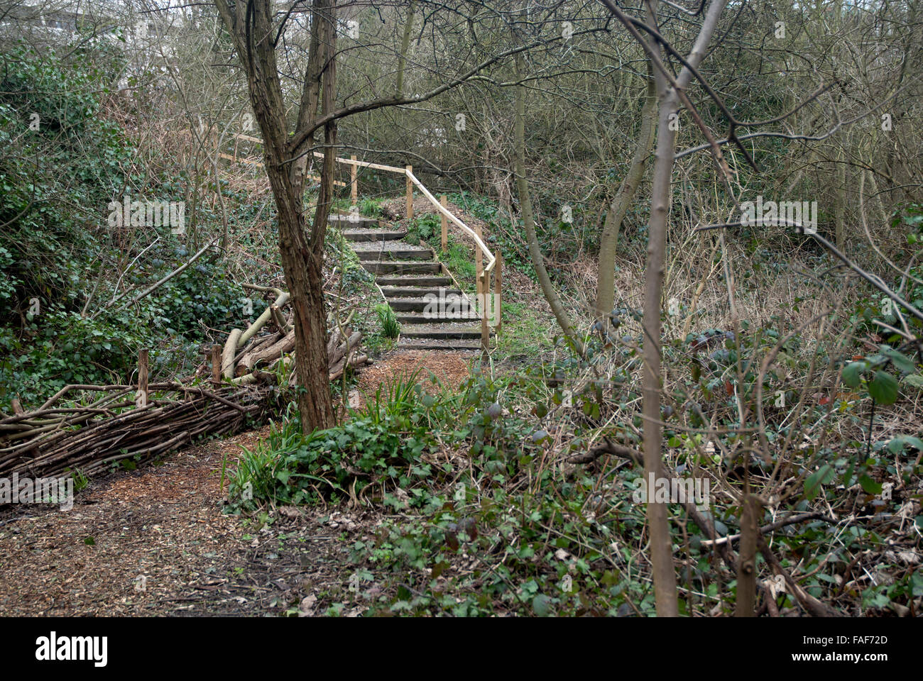 Gunnersbury triangolo Riserva Naturale, Chiswick West London, England Regno Unito Foto Stock