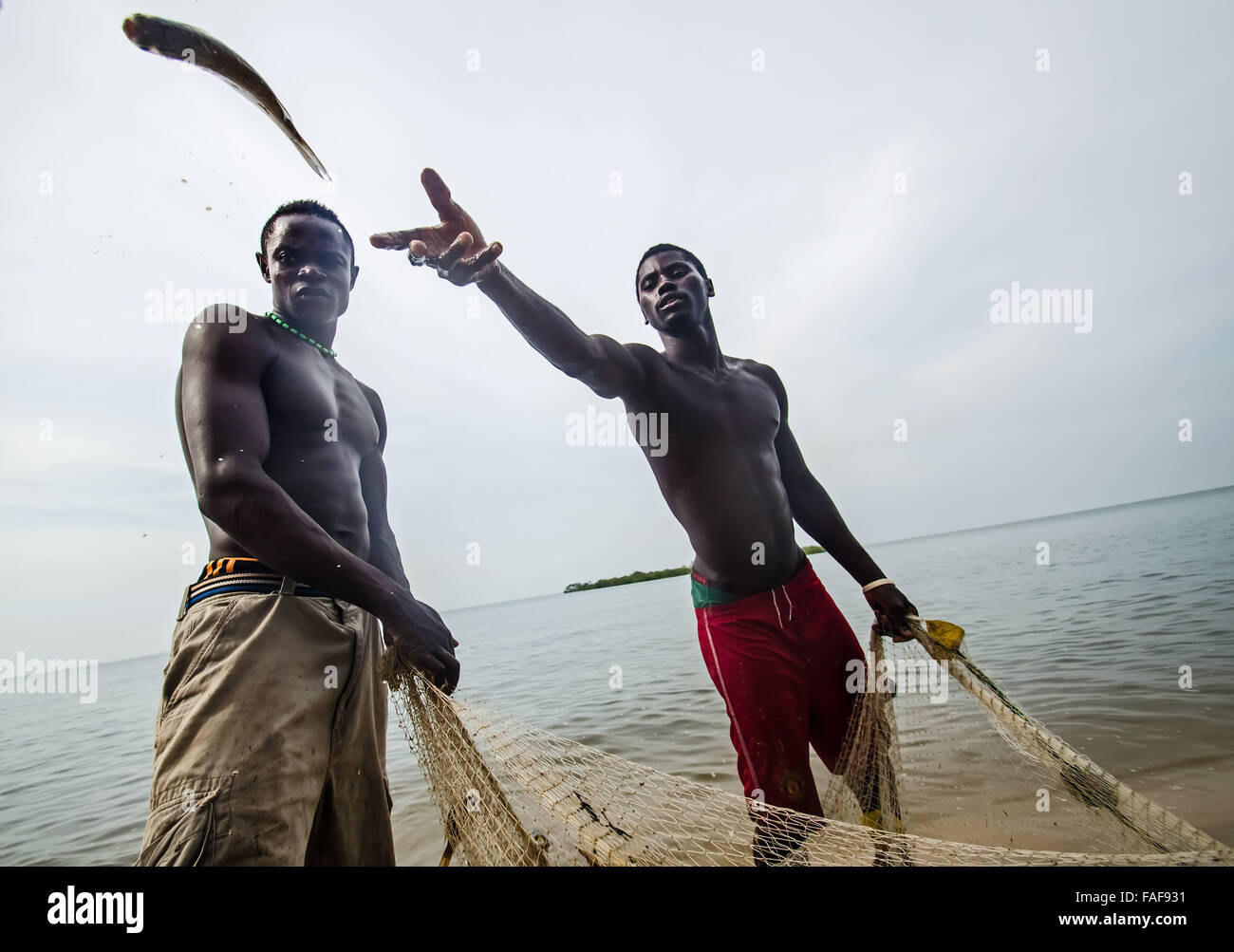 I pescatori raccolgono le loro catture sull isola Yele, la Tartaruga isole, Sierra Leone. Foto Stock