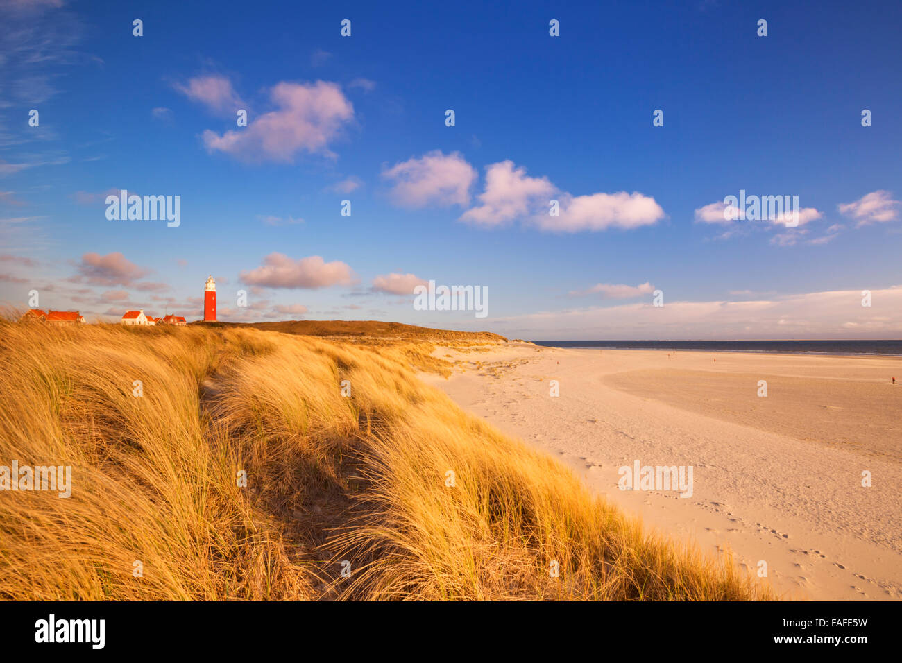 Il faro dell'isola di Texel in Olanda circondato da alte dune di sabbia nella splendida mattina presto la luce del sole. Foto Stock