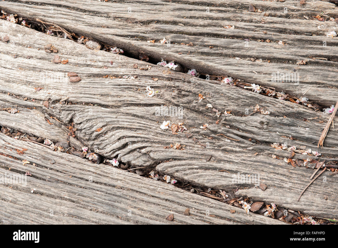Close up di età compresa tra i pavimenti in legno texture groove Foto Stock