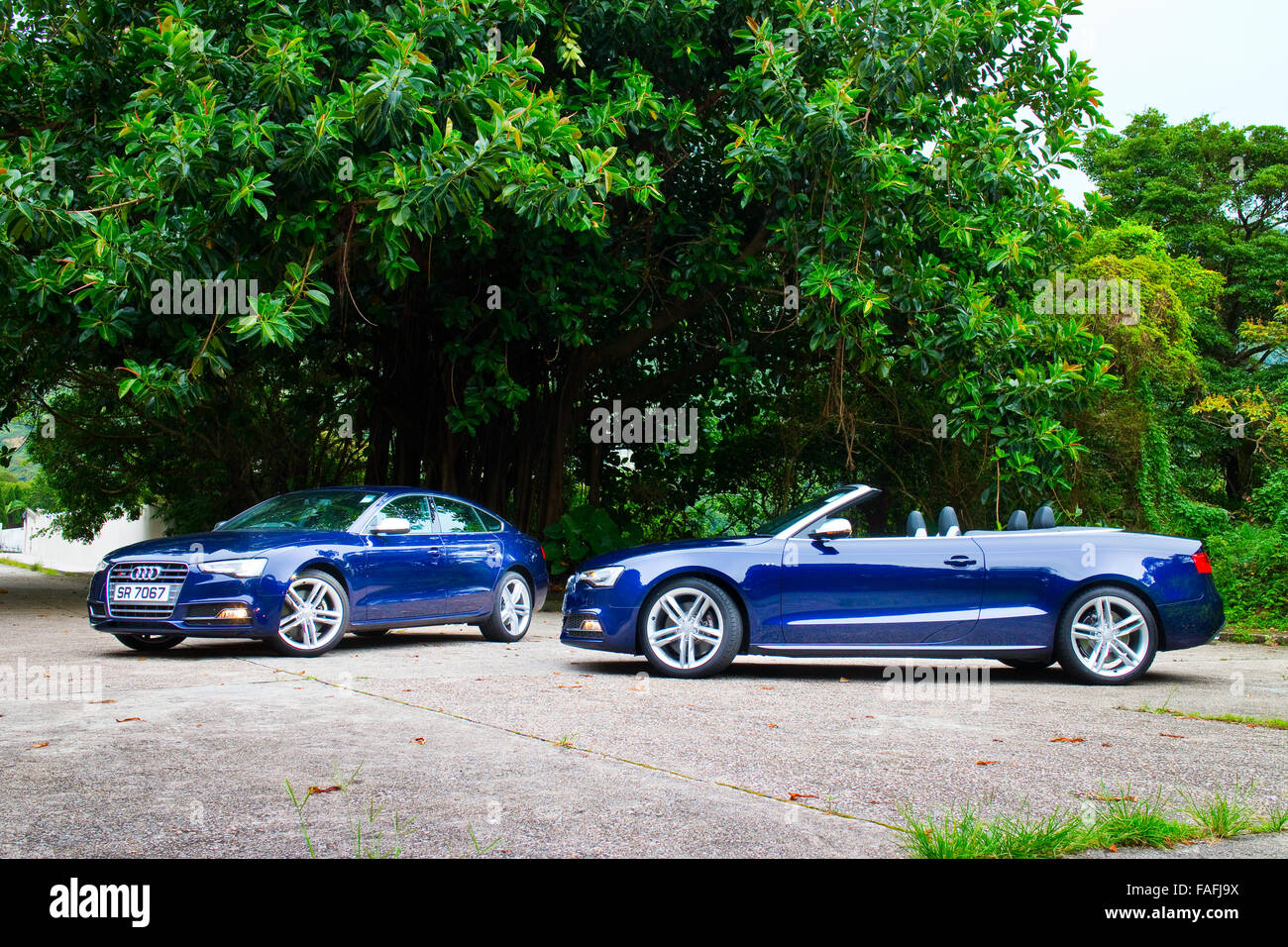 Hong Kong Cina giu 3, 2014 : Audi S5 e S5 Cabriolet 2014 test drive su giu 3 2014 a Hong Kong. Foto Stock