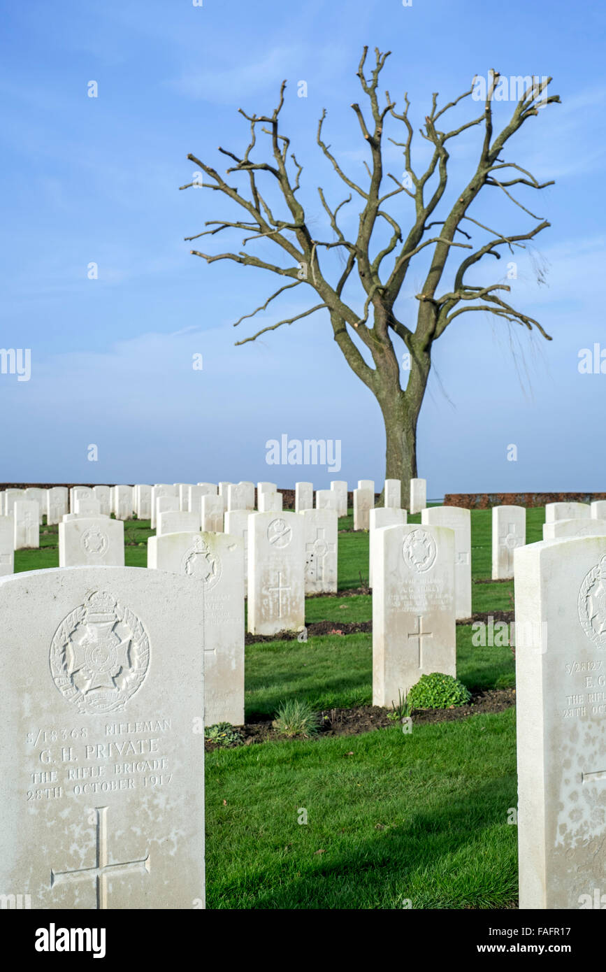 Lapidi bianco alla Prima Guerra Mondiale Prowse punto cimitero militare nei pressi di Ploegsteert, Fiandre Occidentali, Belgio Foto Stock