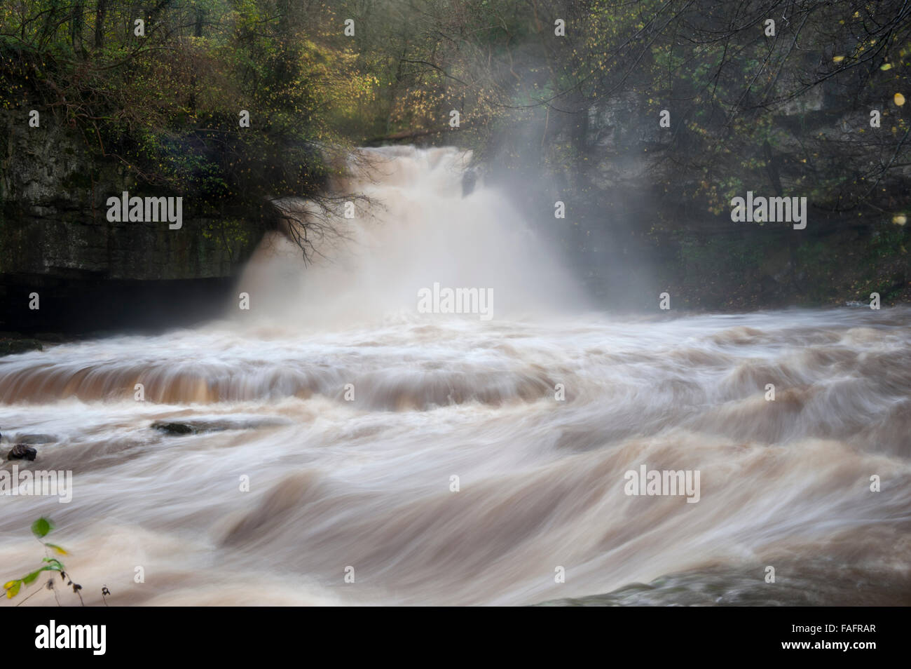 Calderone Falls, West Burton in Wensleydale in pieno flusso Foto Stock