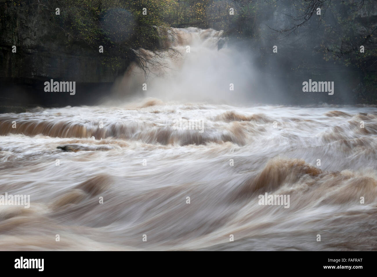 Calderone Falls, West Burton in Wensleydale in pieno flusso Foto Stock