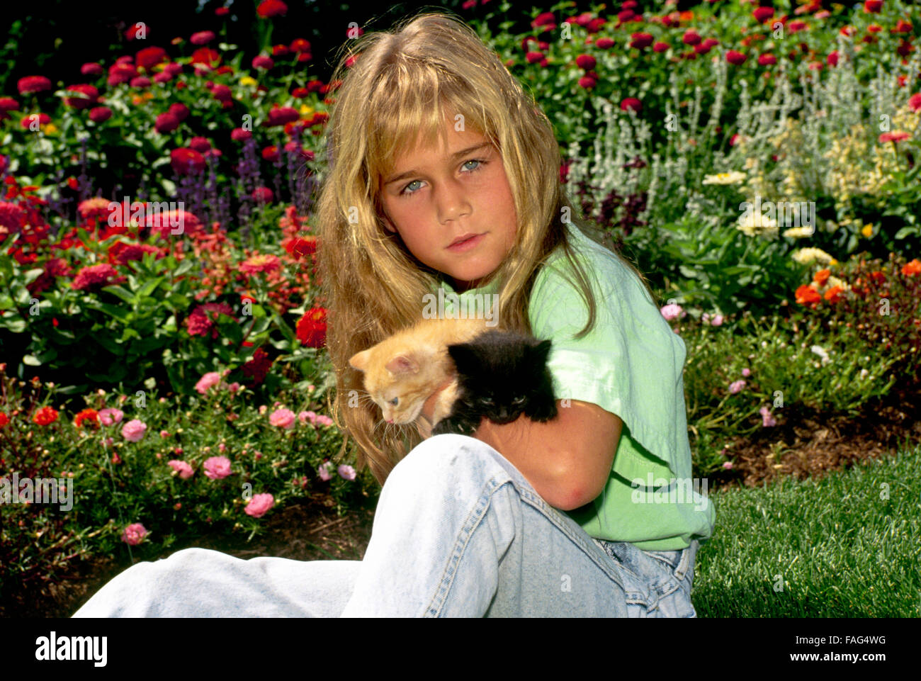 Bella ragazza giovane azienda due gattini in fiore giardino estivo di zinnias e rose, Missouri, Stati Uniti d'America Foto Stock