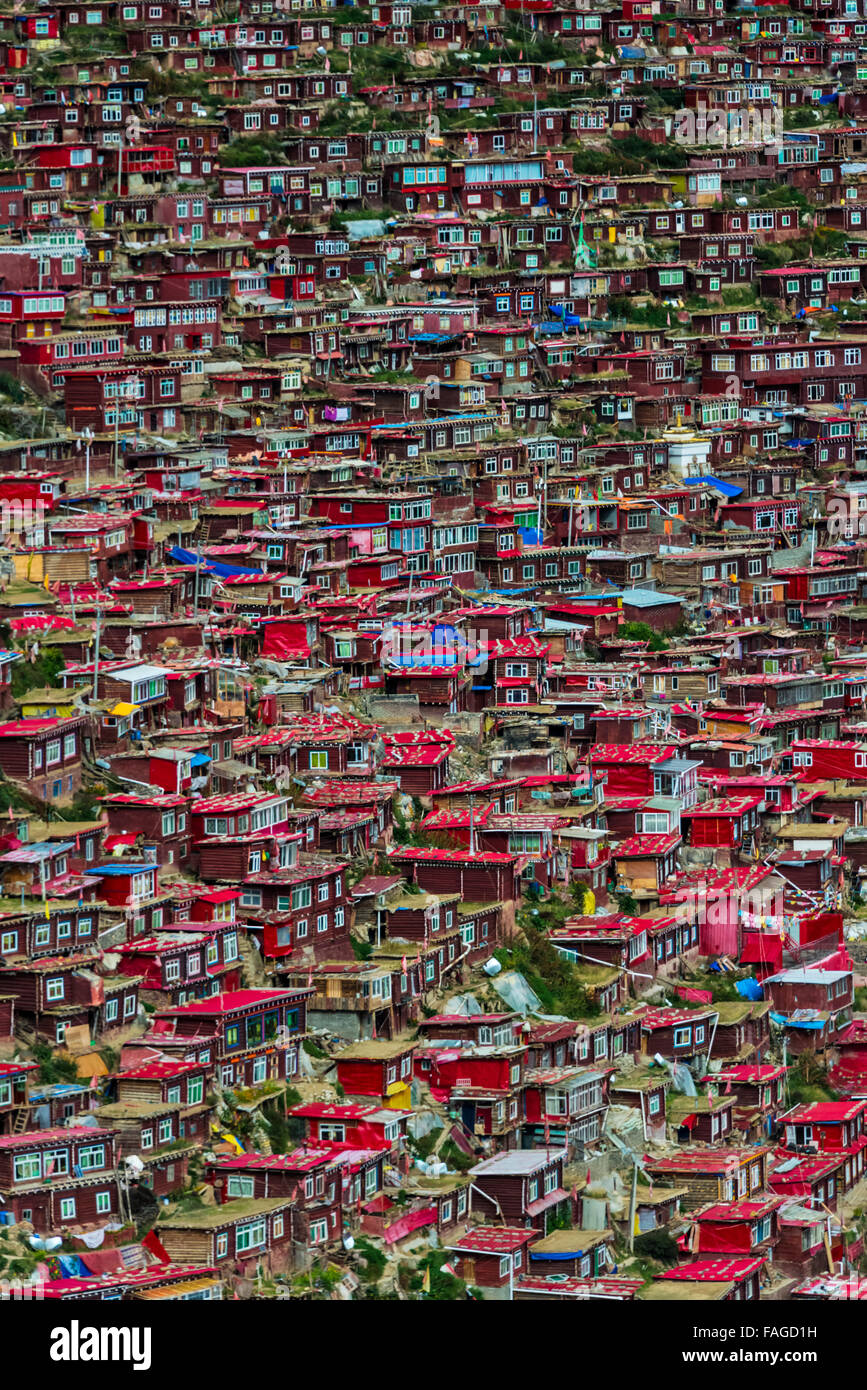 Registro rosso cabine vissuto da monache e monaci che copre il lato montagna, Seda Larong Wuming Istituto Buddista, garze, Sichuan, in Cina Foto Stock