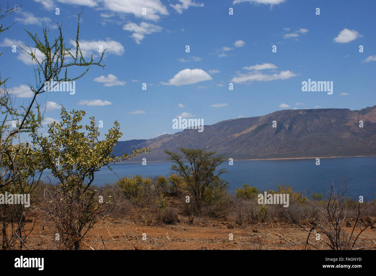 Il lago Bogoria riserva nazionale, Great Rift Valley, Kenya, Africa Foto Stock