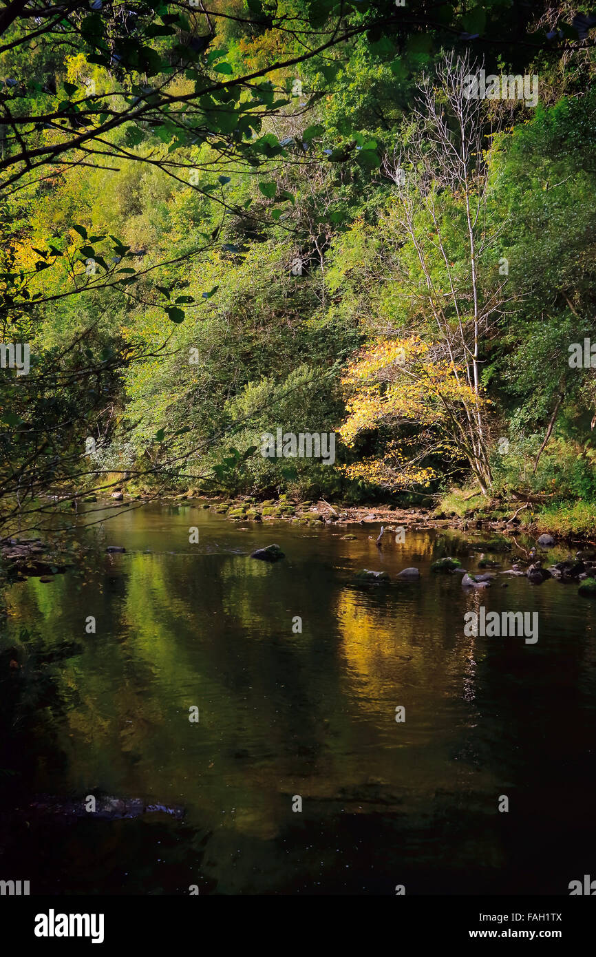 Fiume tranquillo con alberi d'autunno. Afon Mellte, Parco Nazionale di Brecon Beacons, Foto Stock