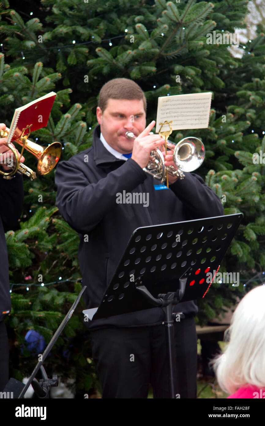 Brass Band che suona musiche natalizie da un albero di Natale, Jimmy's Farm, Wherstead, Ipswich, Suffolk, Regno Unito, dicembre 2015 Foto Stock
