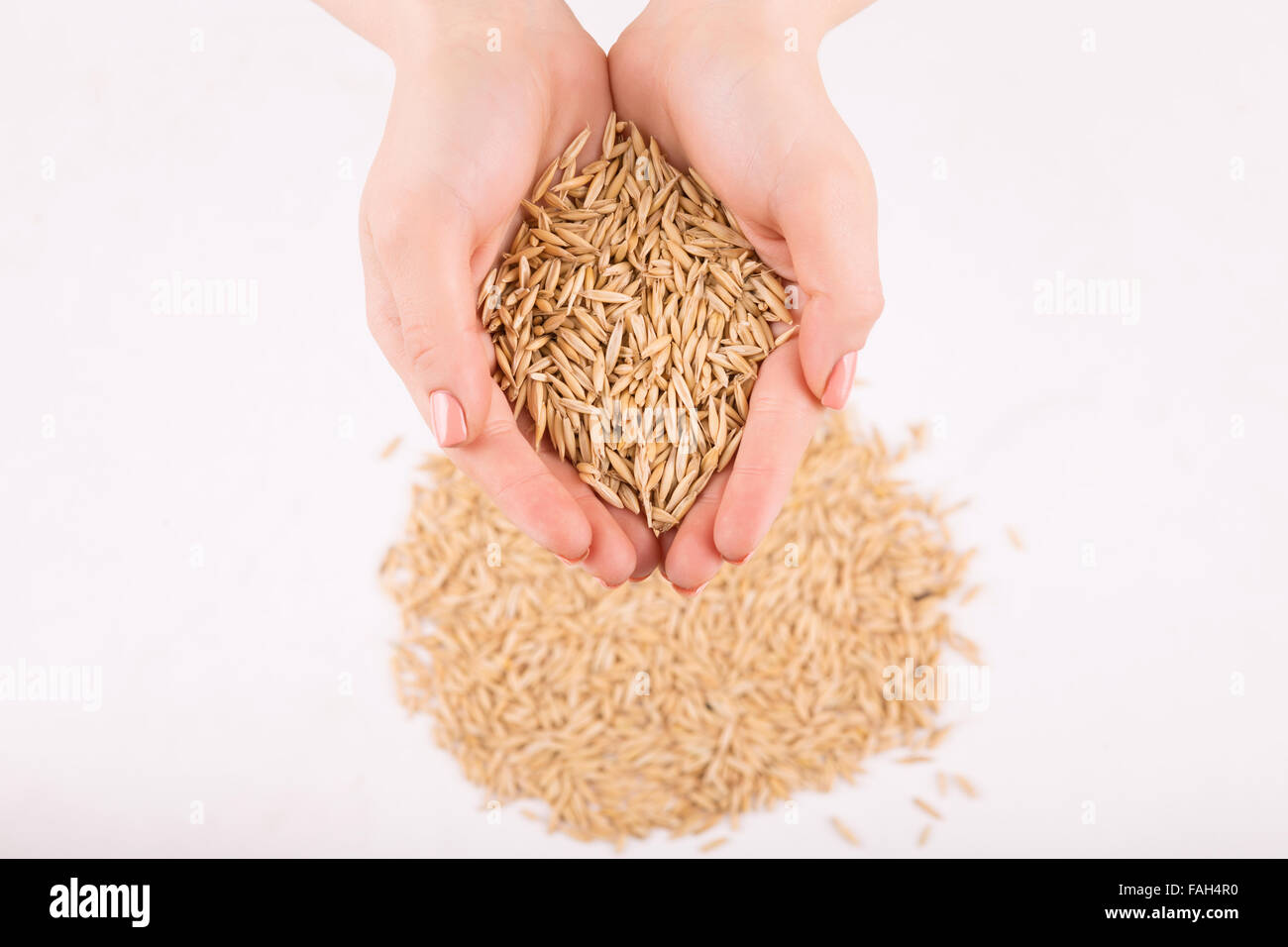 Le mani umane riempito di grano dorato. Foto Stock