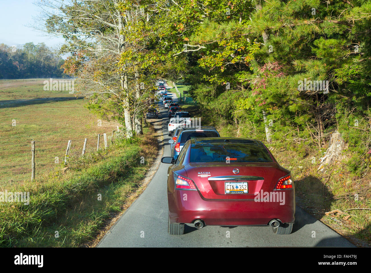 Il traffico di auto in Cades Cove nel Parco Nazionale di Great Smoky Mountains Tennessee Foto Stock