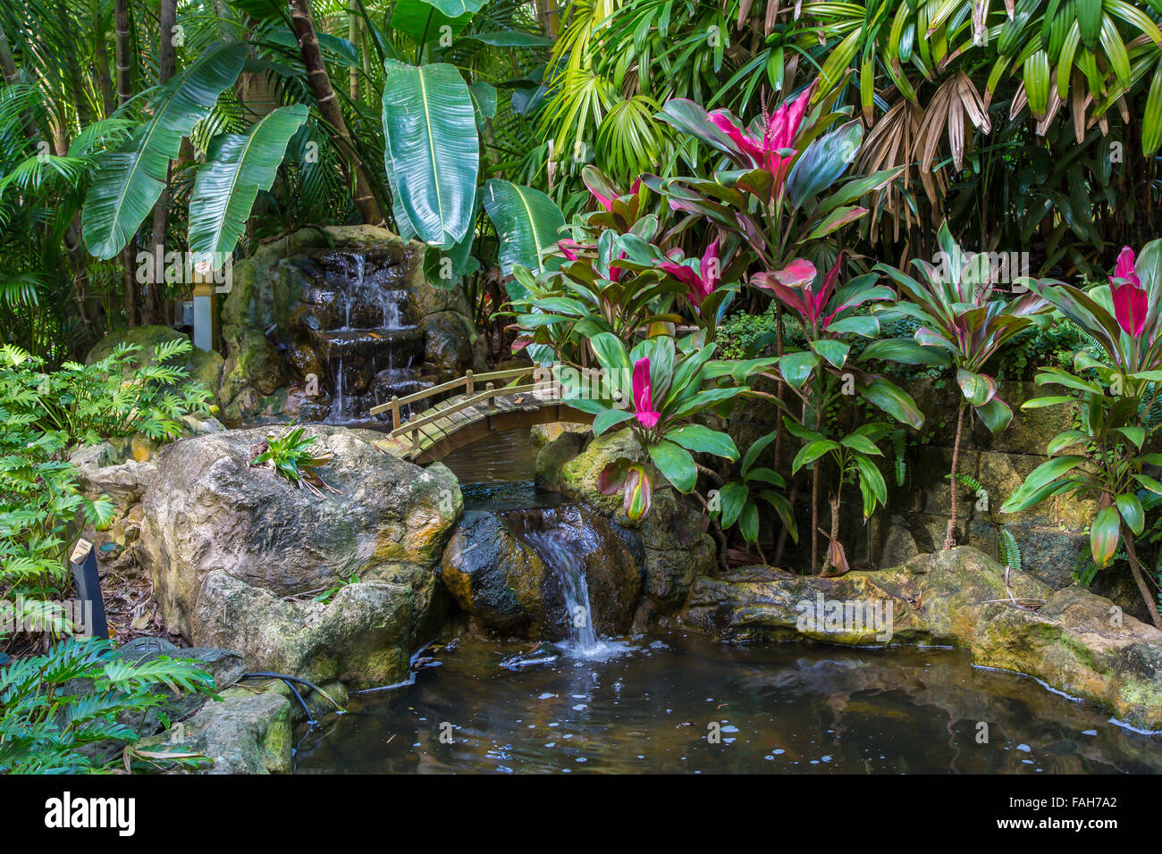 Una piccola cascata in scena a Sunken Gardens in St Petersburg Florida Foto Stock