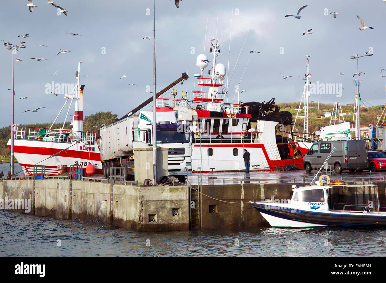 La pesca del giorno, baltimore West Cork in Irlanda Foto Stock