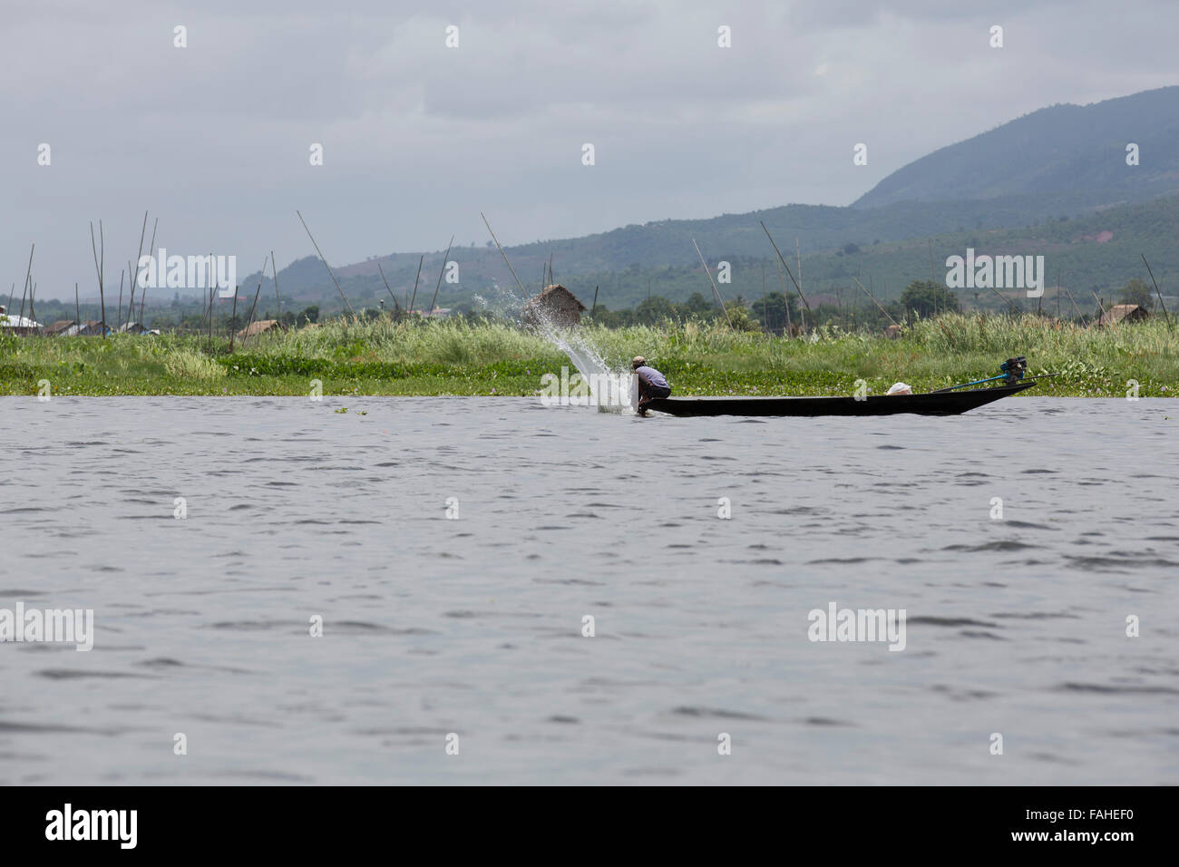 Un pescatore dal popolo Intha schizzi la superficie dell'acqua per attirare i pesci sul Lago Inle in Myanmar (Birmania). Foto Stock