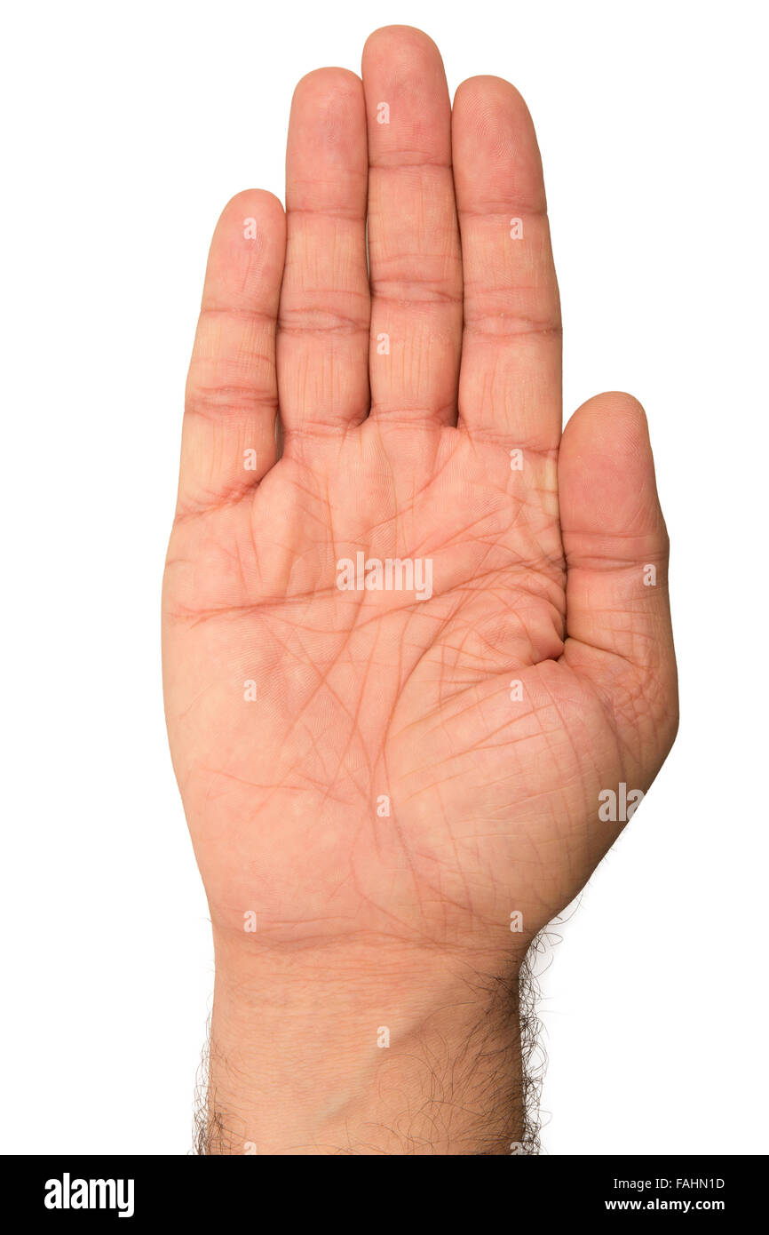 Lato palmo di mano su sfondo bianco. Foto Stock