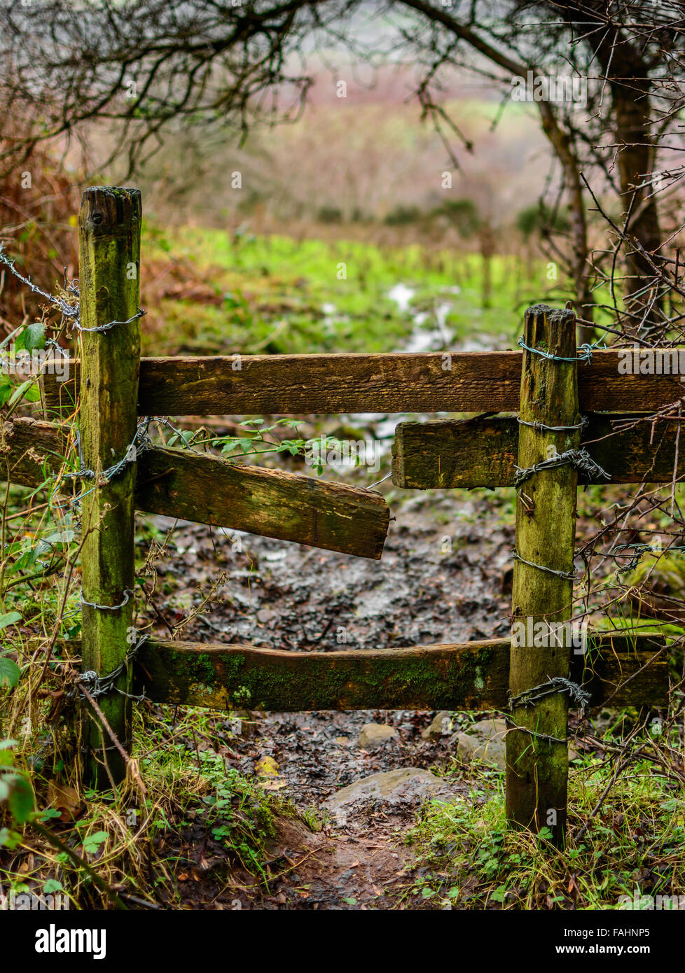 Recinzione Gate leading nel campo irlandese Foto Stock