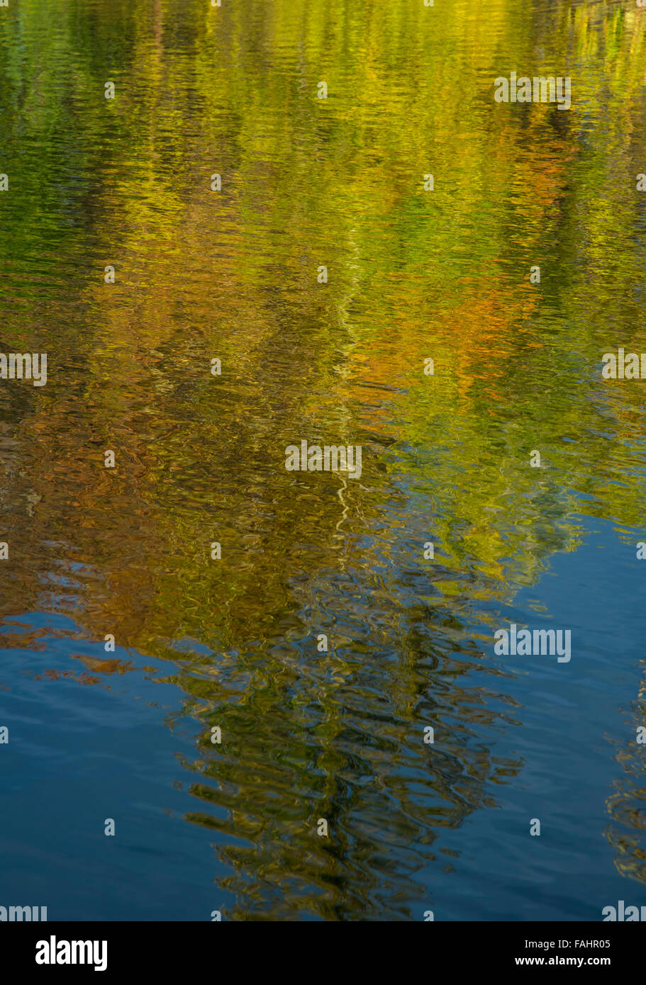 , Close-up di acqua astratti modelli di riflessione, Idaho, Stati Uniti d'America Foto Stock