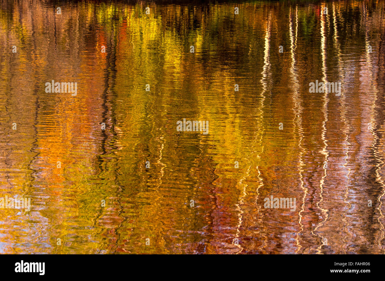 Close-up di astratta autunno acqua riflessioni patterns in stagno. Boise, Idaho, Stati Uniti d'America Foto Stock