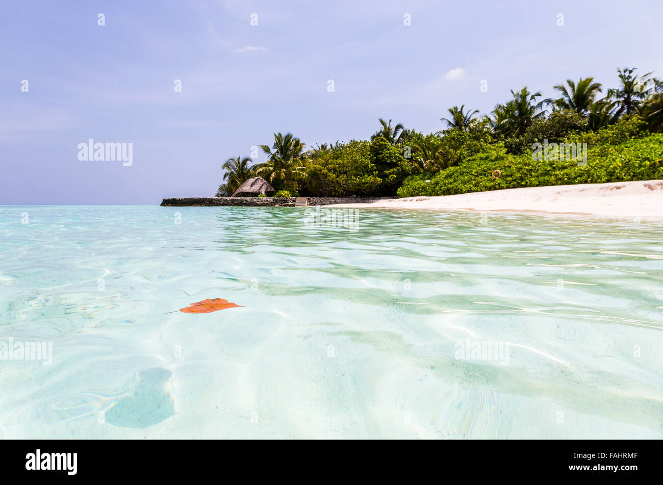 Una forma di cuore foglie galleggianti in mare turchese a Makunudu isola delle Maldive Foto Stock
