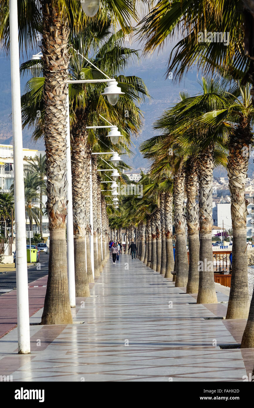 Passeig de les Estreles l'Alfàs del Pi, Alicante, Spagna. passeggiata sul lungomare di Albir Foto Stock