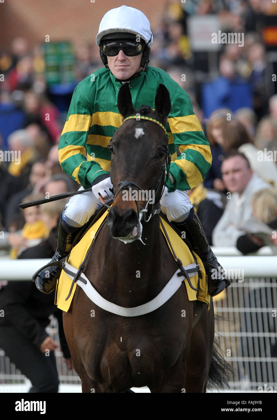 PIC FILE: -Jump Jockey AP McCoy diventa un cavaliere in nuovi successi di anni elenco 2016 per i servizi per le corse di cavalli Darlan e AP McCoy prima che la Betfair Hurdle (Handicap) Grade 3 Cl1 2m110Y - Horse Racing all ippodromo di Newbury, Berkshire - 17/02/2012 Credit: MARTIN DALTON/Alamy Live News Foto Stock