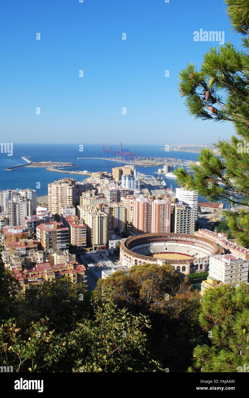 Vista in elevazione della corrida e l'area del porto, Malaga, provincia di Malaga, Andalusia, Spagna, Europa occidentale. Foto Stock