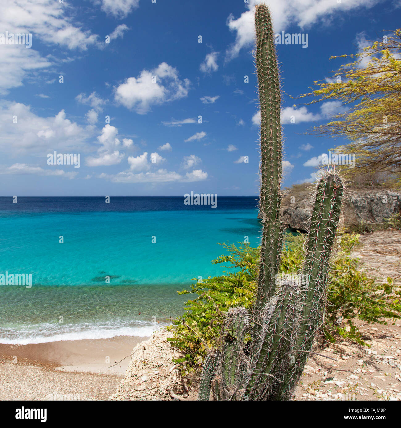 Playa Jeremi su Curacao Foto Stock