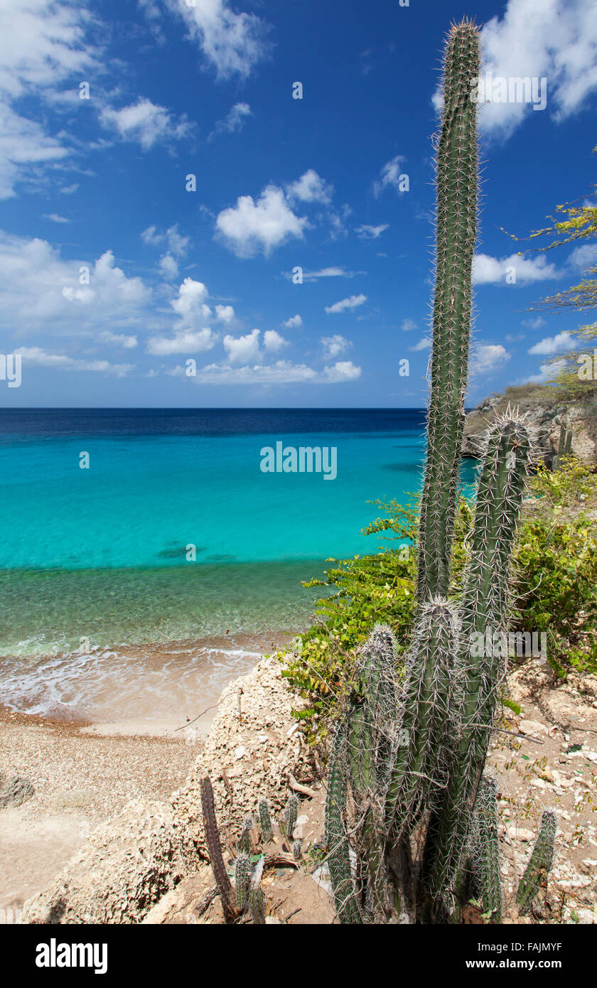 Playa Jeremi su Curacao Foto Stock