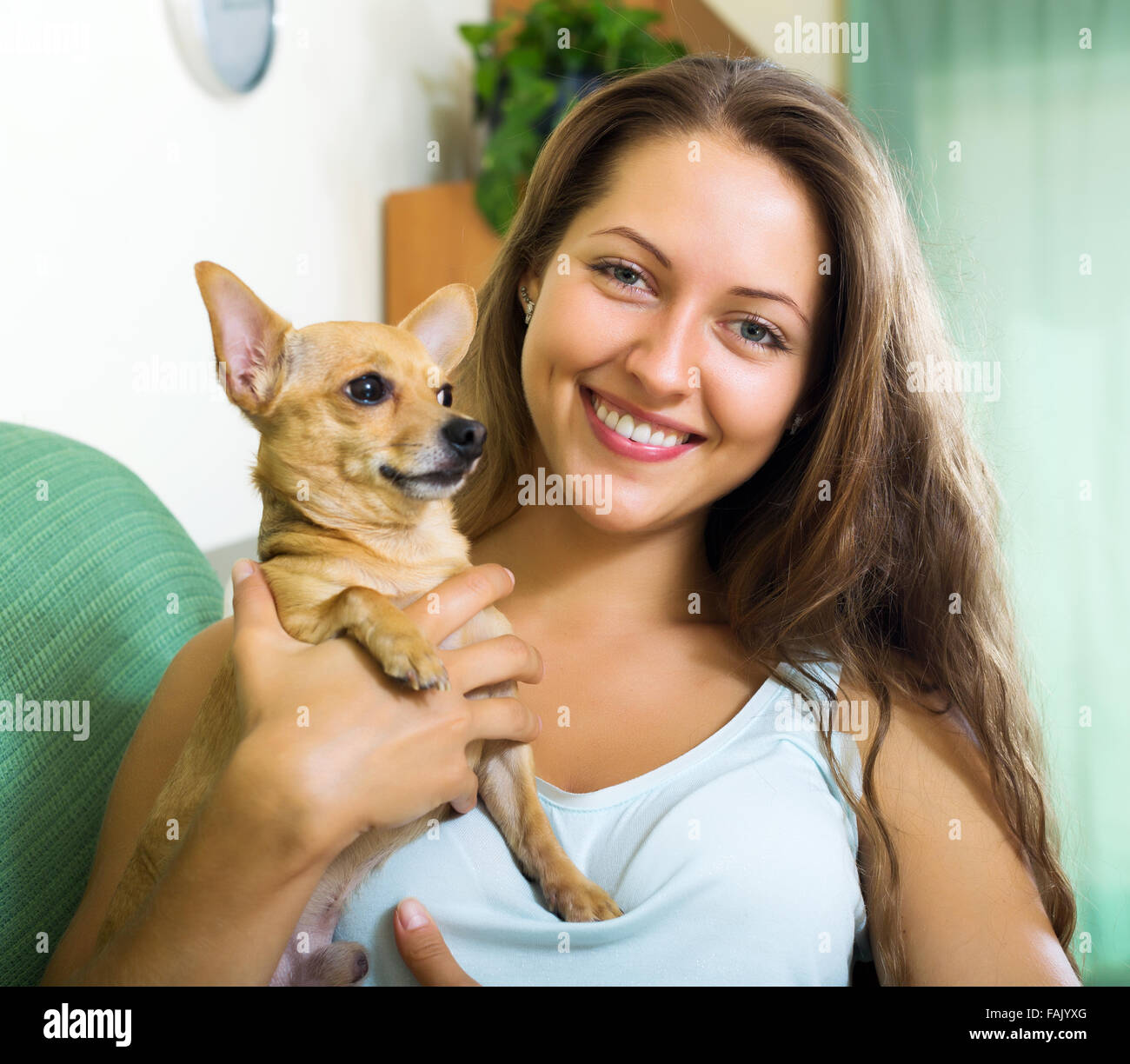 Felice ragazza con Russkiy Toy Terrier indoor Foto Stock