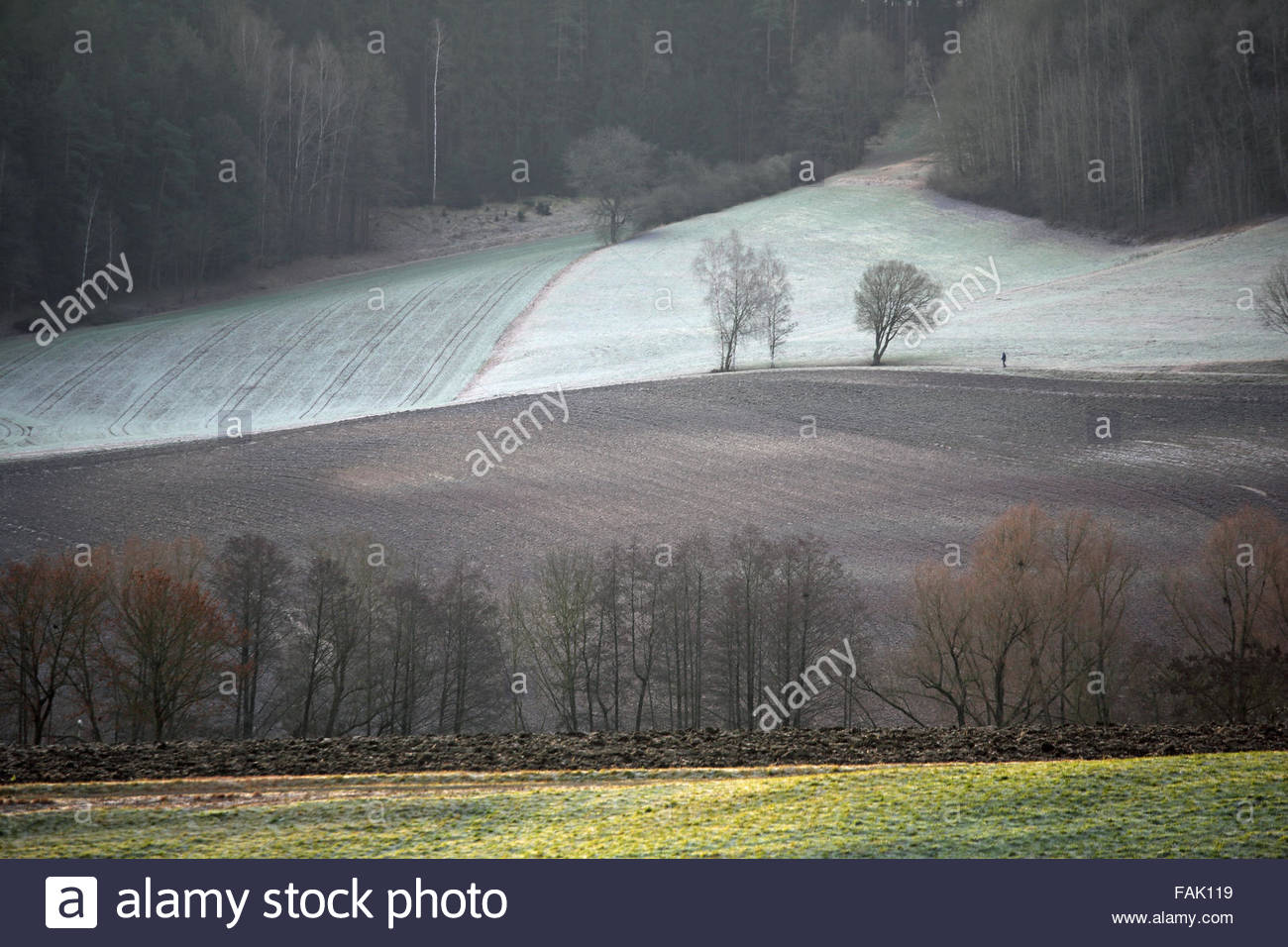 Coburg, Germania. 31 Dic, 2015. Una collina walker in Germania fa la maggior parte degli ultimi sunshine prima caduta di temperature come inizia il nuovo anno. Forecasters prevedono strade ghiacciate e pericolose condizioni di guida per la regione. Credito: reallifephotos/Alamy Live News Foto Stock